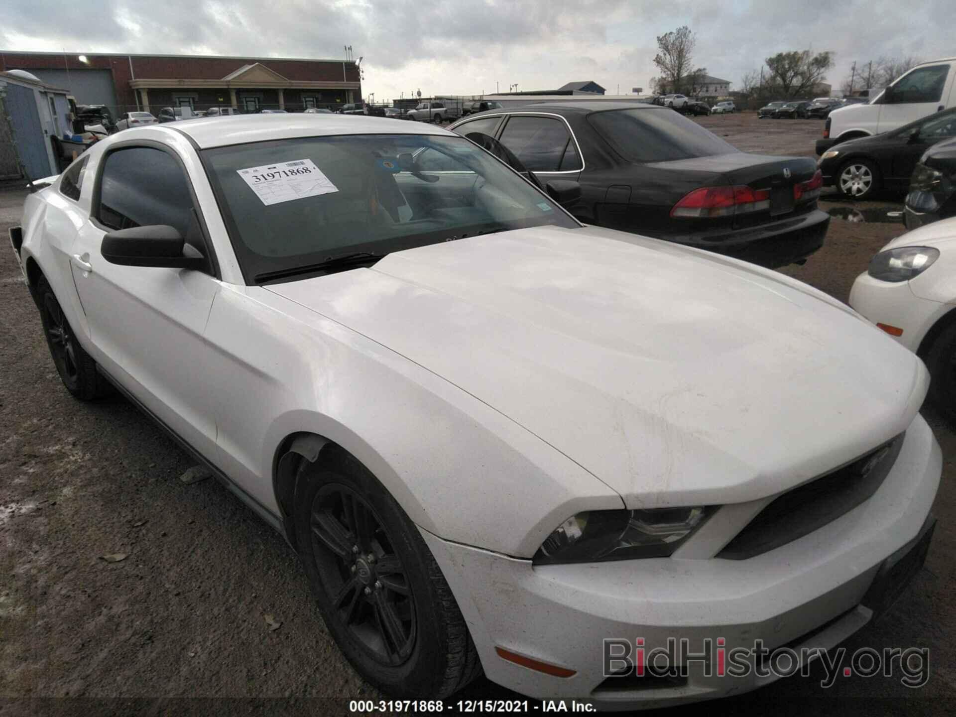 Photo 1ZVBP8AM4C5228897 - FORD MUSTANG 2012