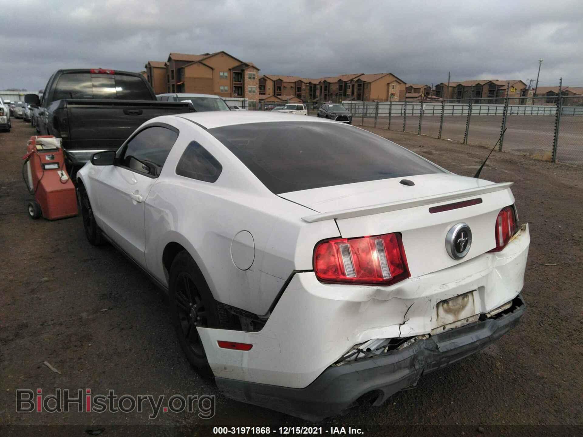 2012 FORD MUSTANG - VIN: 1ZVBP8AM4C5228897 - Фото 3