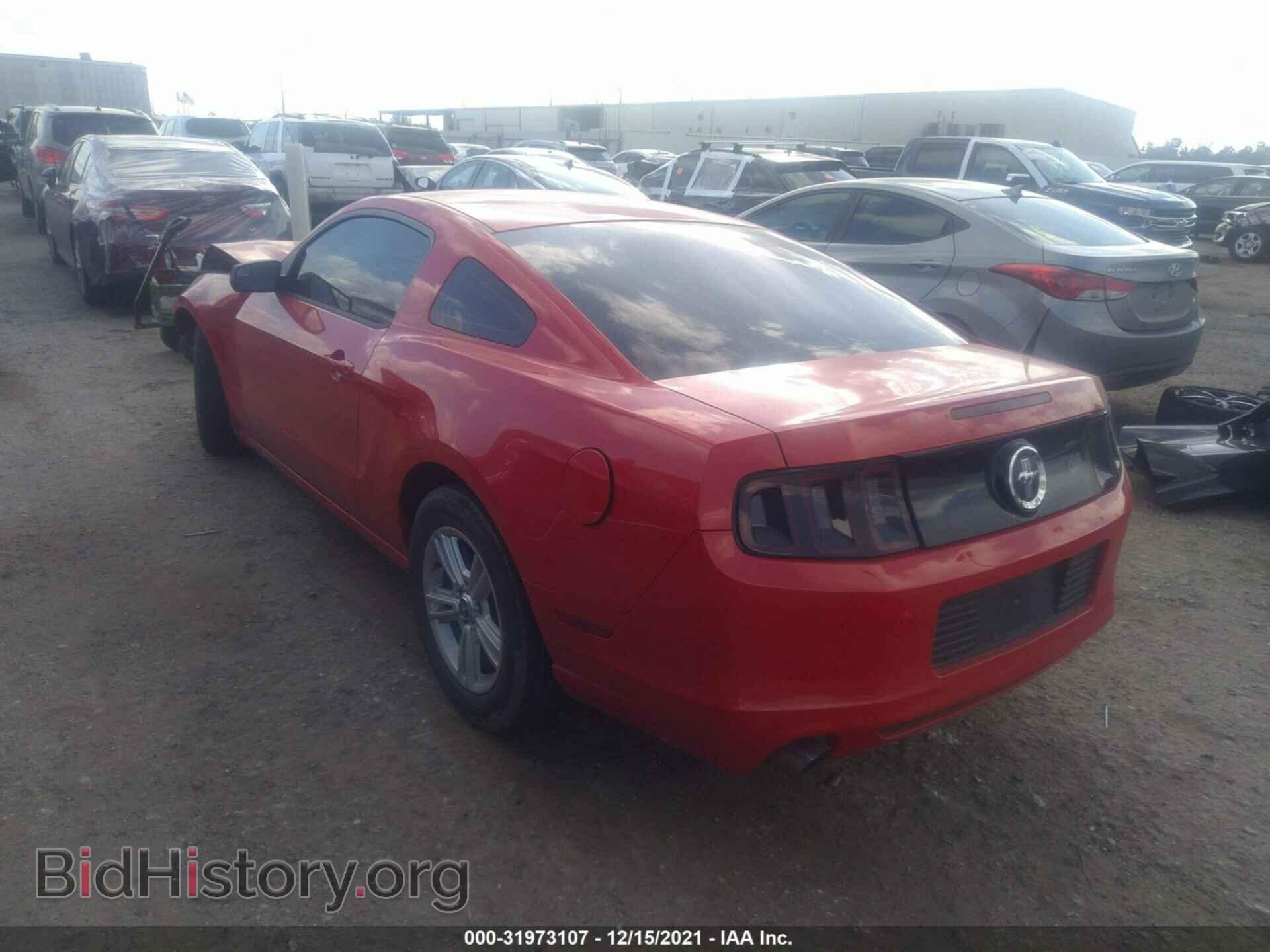 2013 FORD MUSTANG - VIN: 1ZVBP8AM3D5266557 - Фото 3