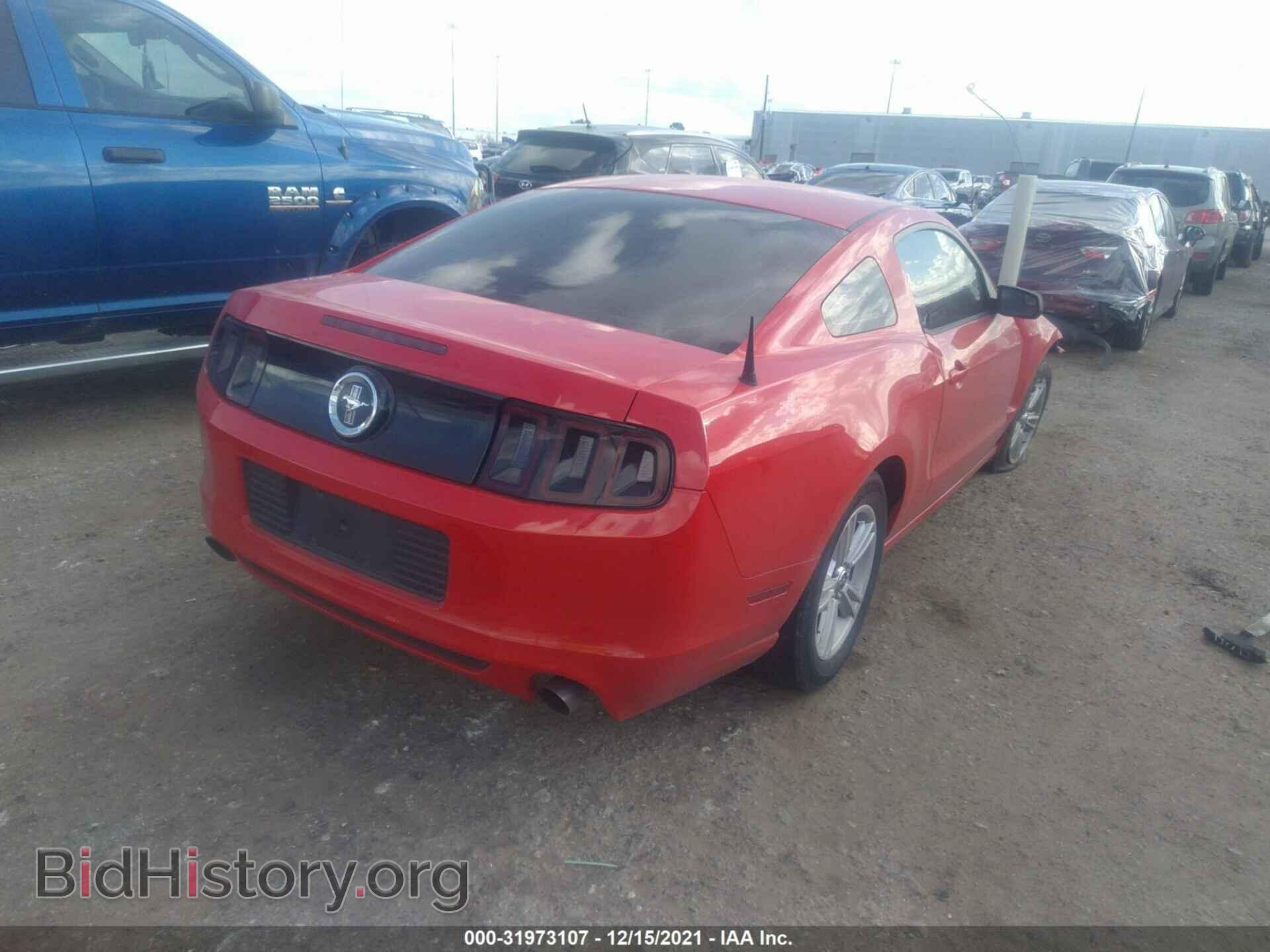 2013 FORD MUSTANG - VIN: 1ZVBP8AM3D5266557 - Фото 4