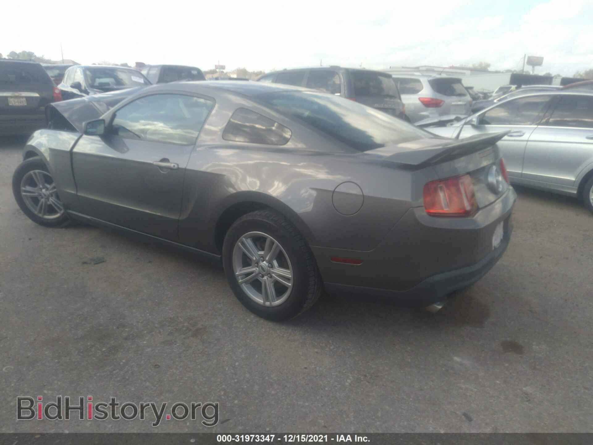 2011 FORD MUSTANG - VIN: 1ZVBP8AM7B5133877 - Фото 3
