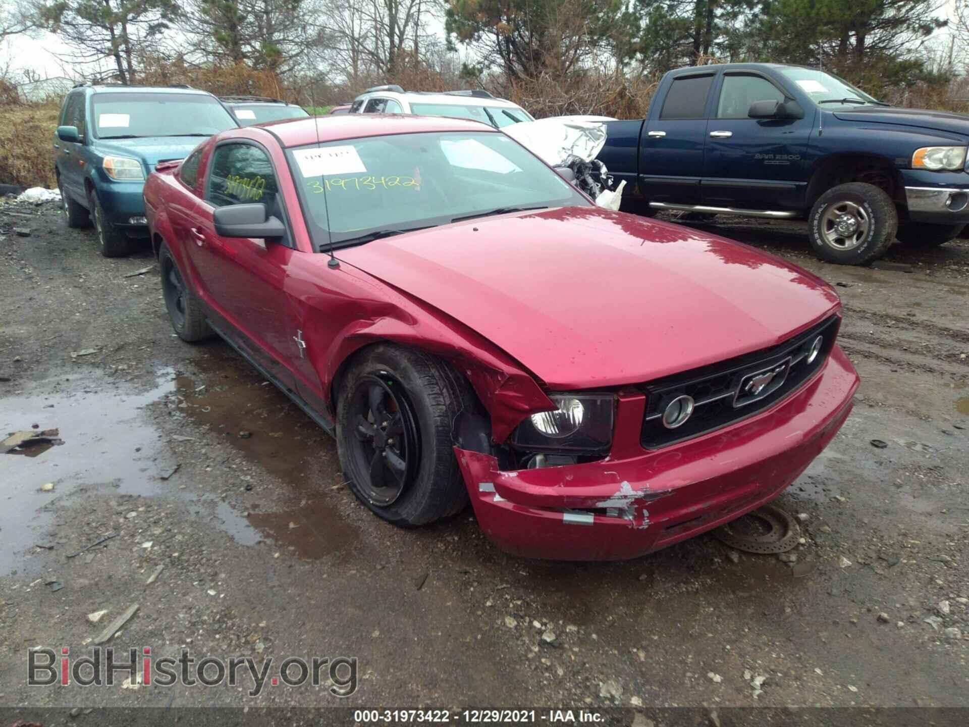Photo 1ZVFT80N275347321 - FORD MUSTANG 2007