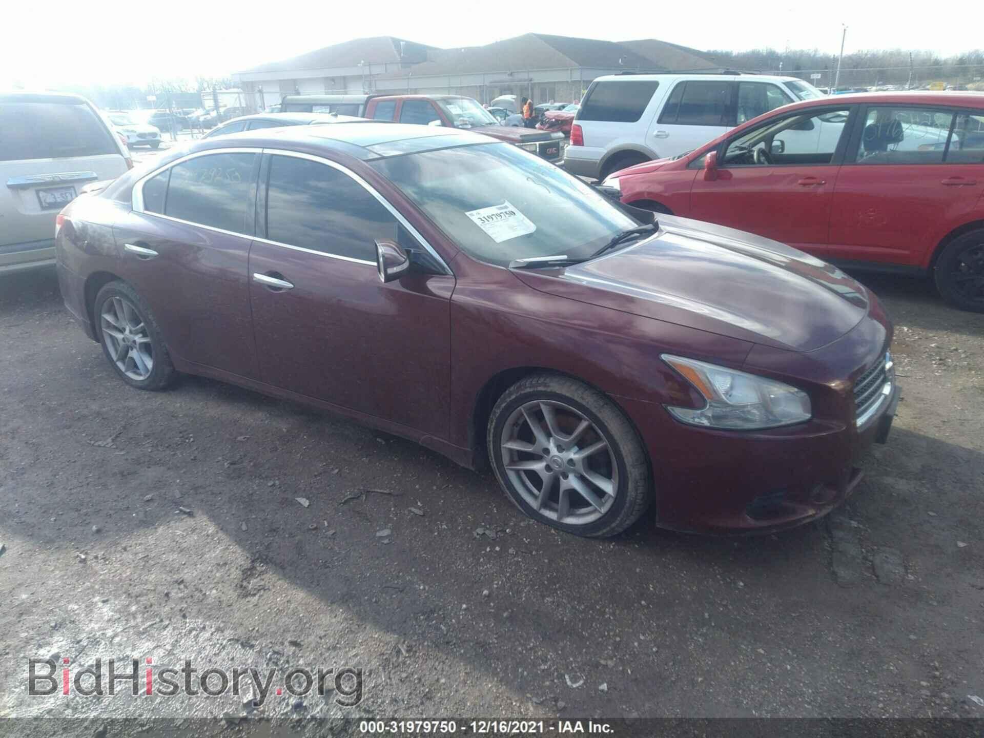 Фотография 1N4AA5AP2BC816029 - NISSAN MAXIMA 2011