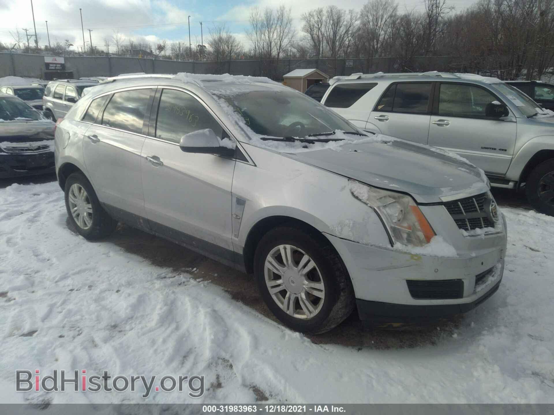 Photo 3GYFNAEYXBS519546 - CADILLAC SRX 2011