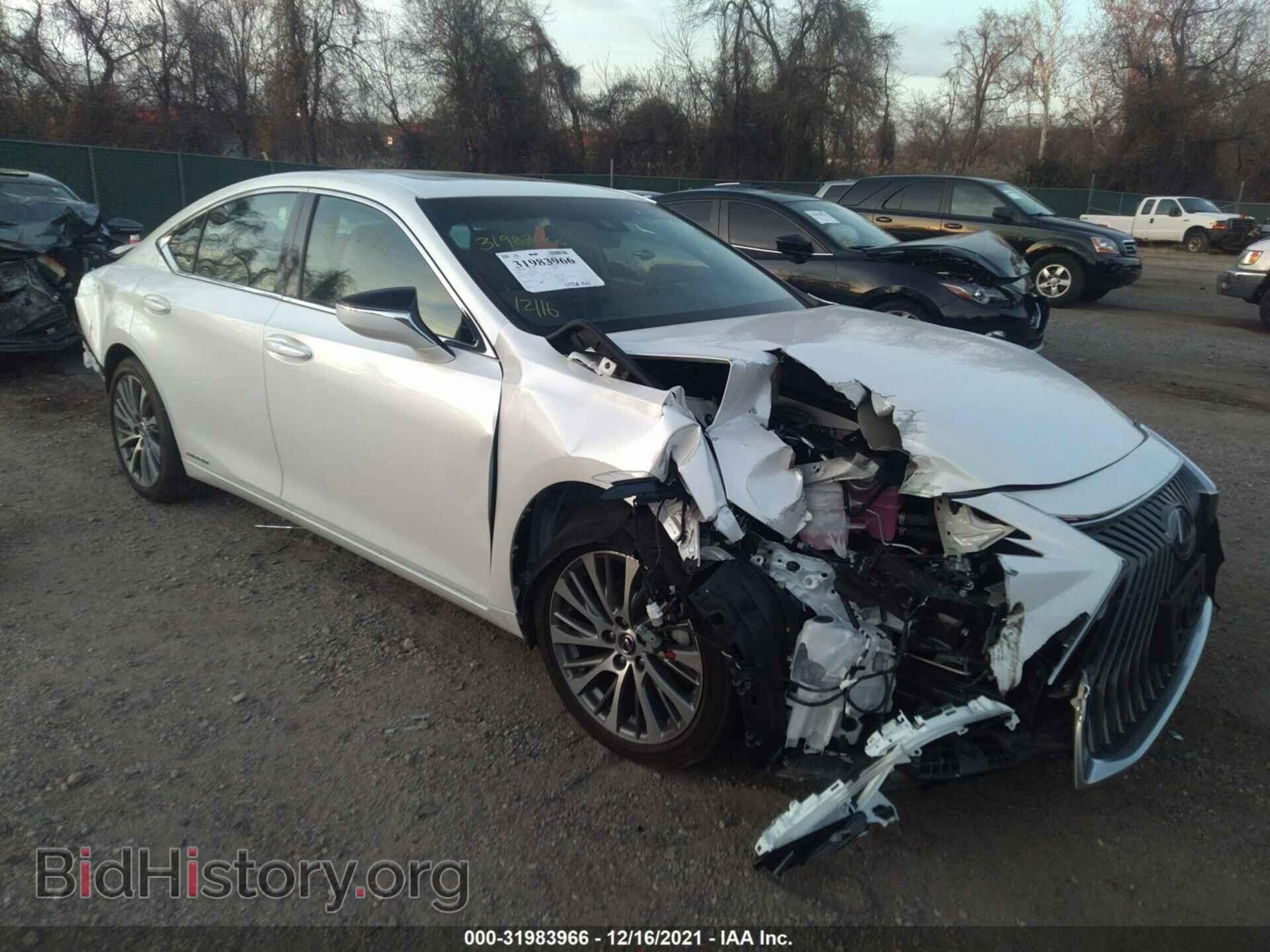 Photo 58AD21B14LU008370 - LEXUS ES 2020