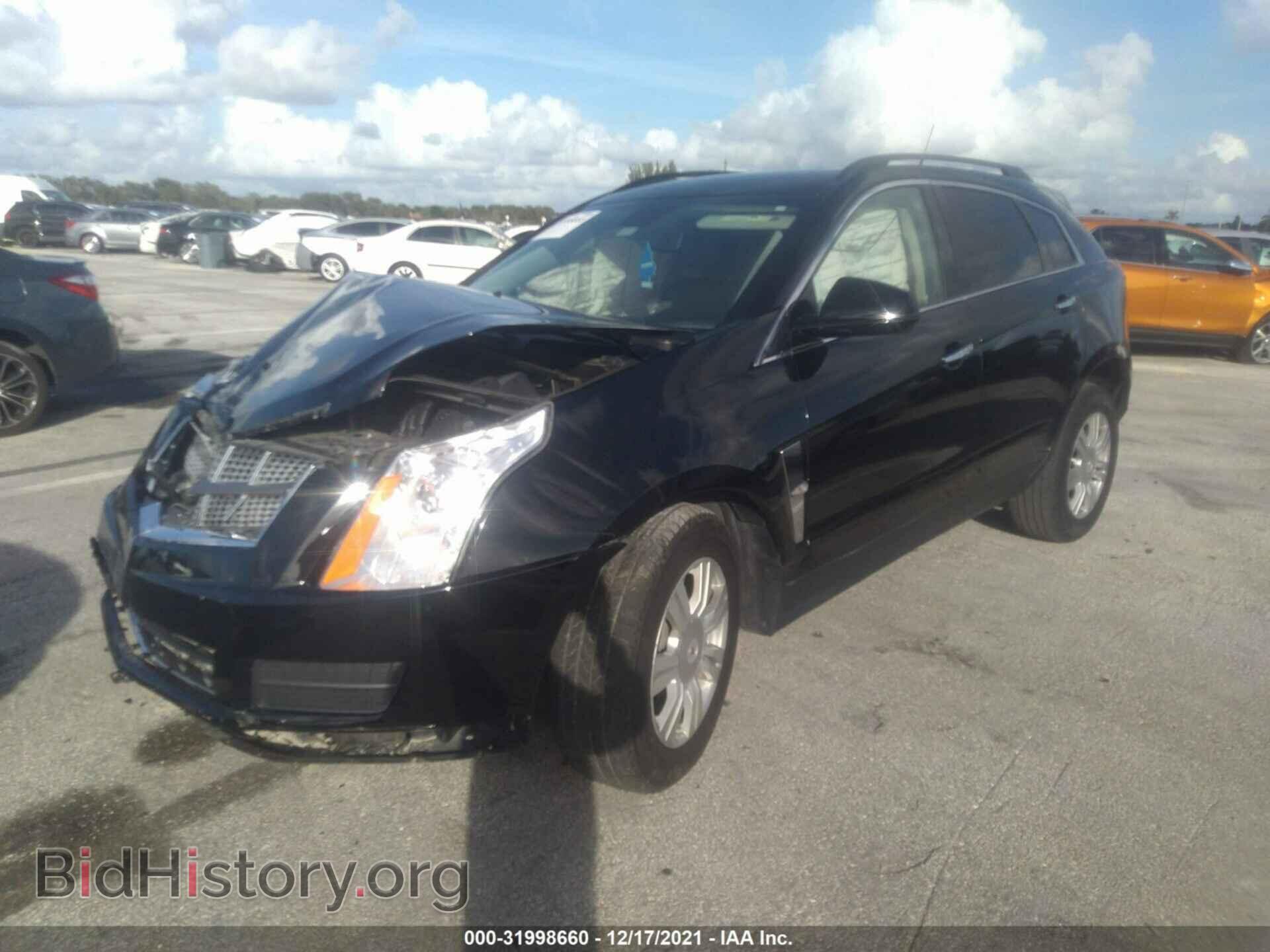 2011 CADILLAC SRX - VIN: 3GYFNGEY2BS679388 - Фото 2
