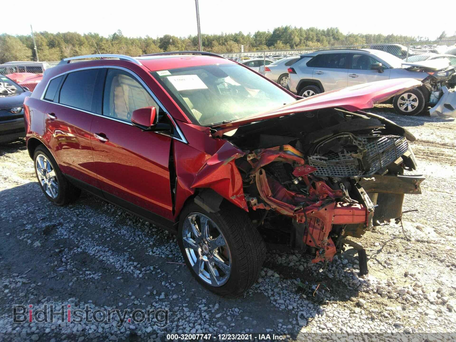 Photo 3GYFNCEY1BS546260 - CADILLAC SRX 2011
