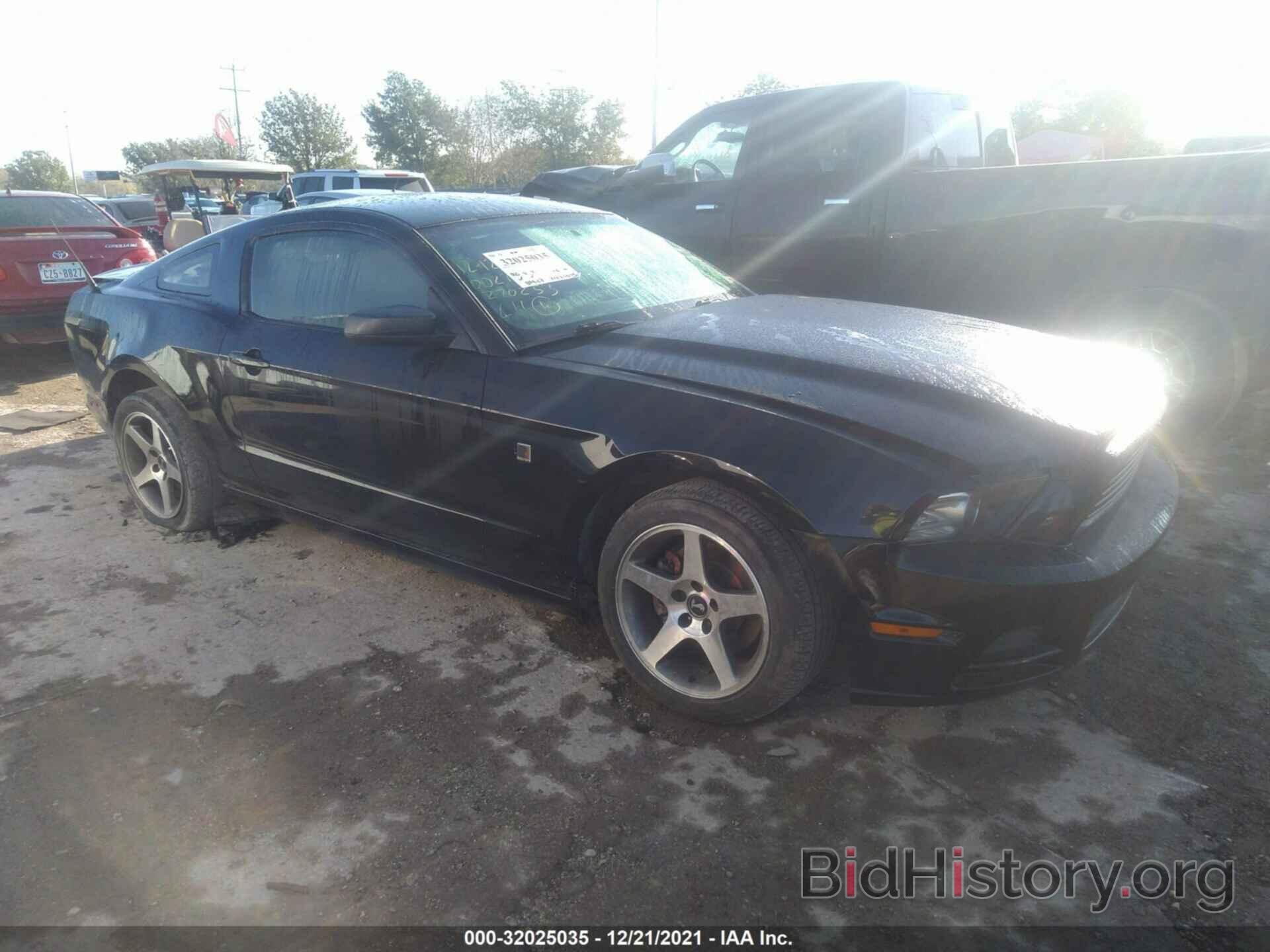 Photo 1ZVBP8AM1E5270253 - FORD MUSTANG 2014