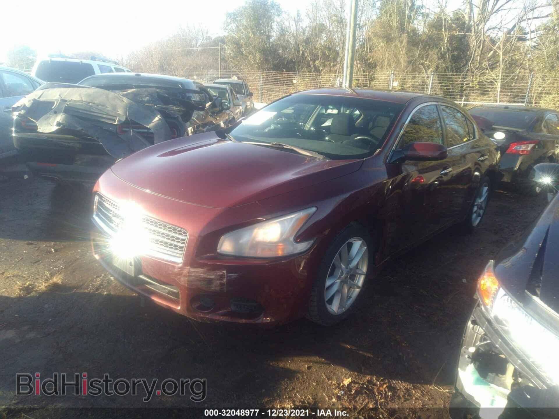 2010 NISSAN MAXIMA - VIN: 1N4AA5AP1AC855841 - Фото 2