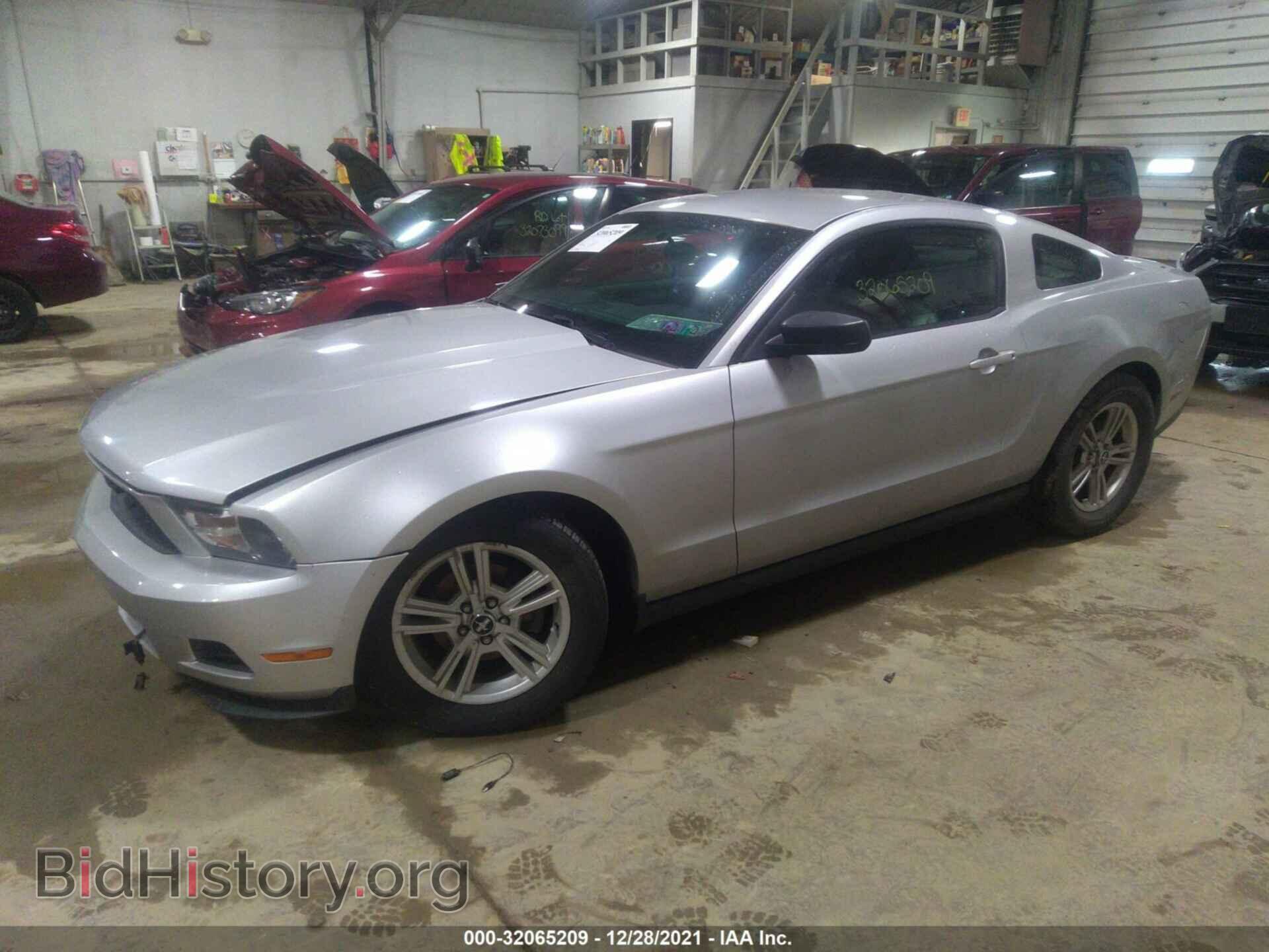 2010 FORD MUSTANG - VIN: 1ZVBP8AN8A5116772 - Фото 2