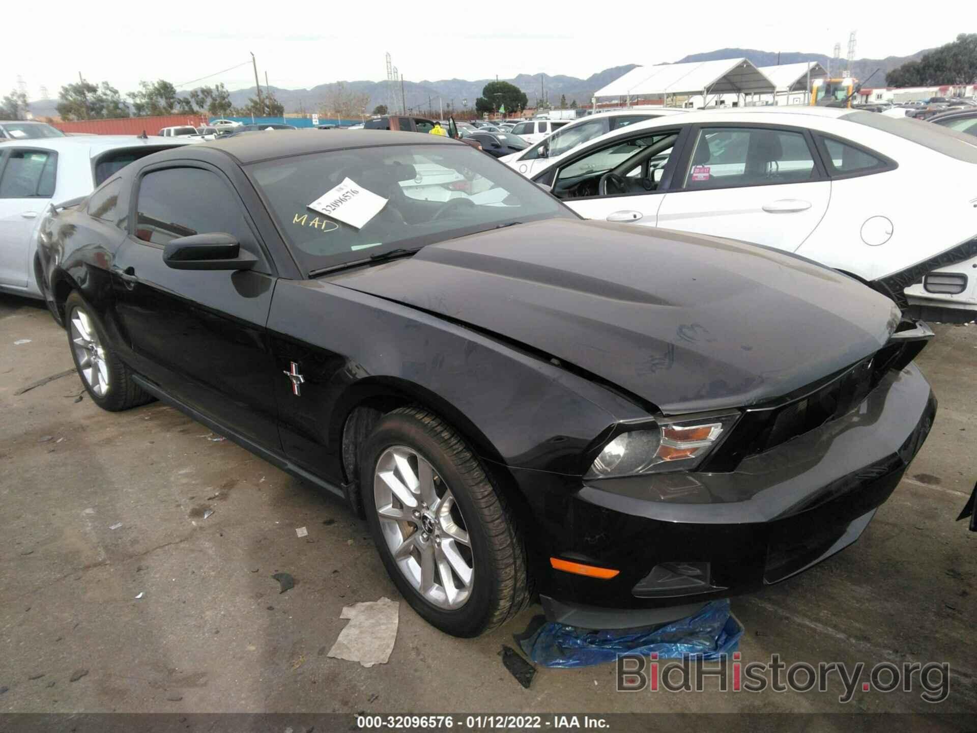 Photo 1ZVHP8AN9A5126348 - FORD MUSTANG 2010