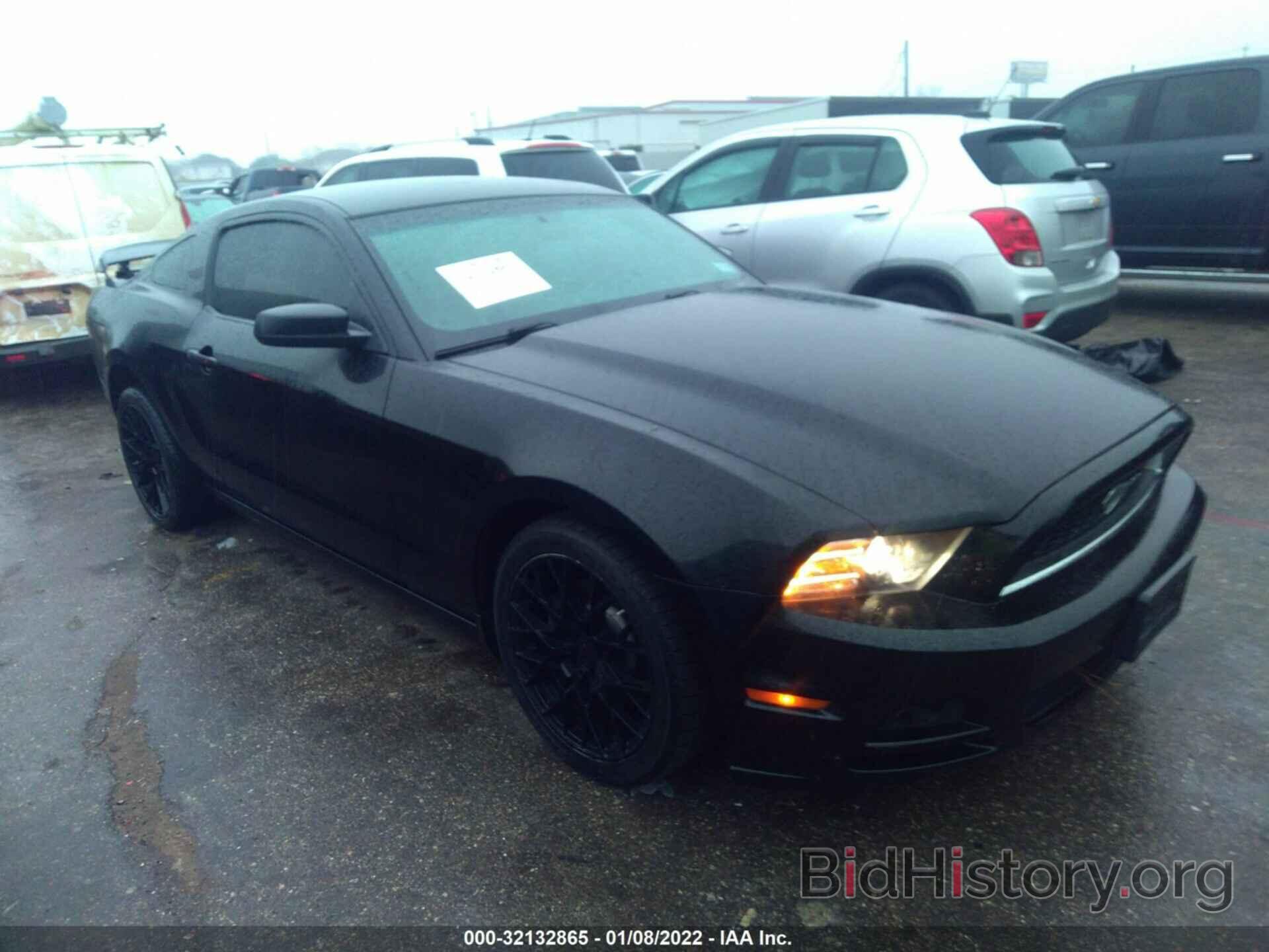 Photo 1ZVBP8AM9E5200757 - FORD MUSTANG 2014