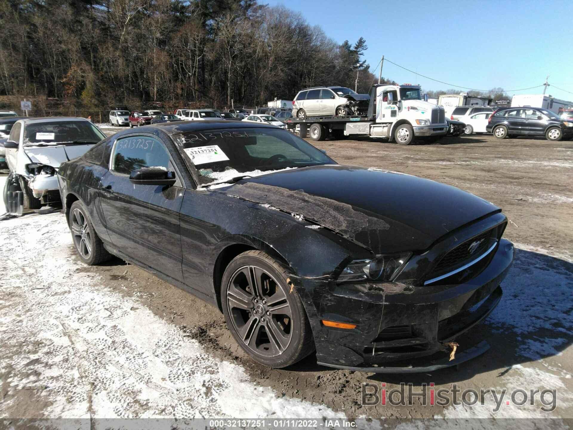 Photo 1ZVBP8AM7D5247588 - FORD MUSTANG 2013