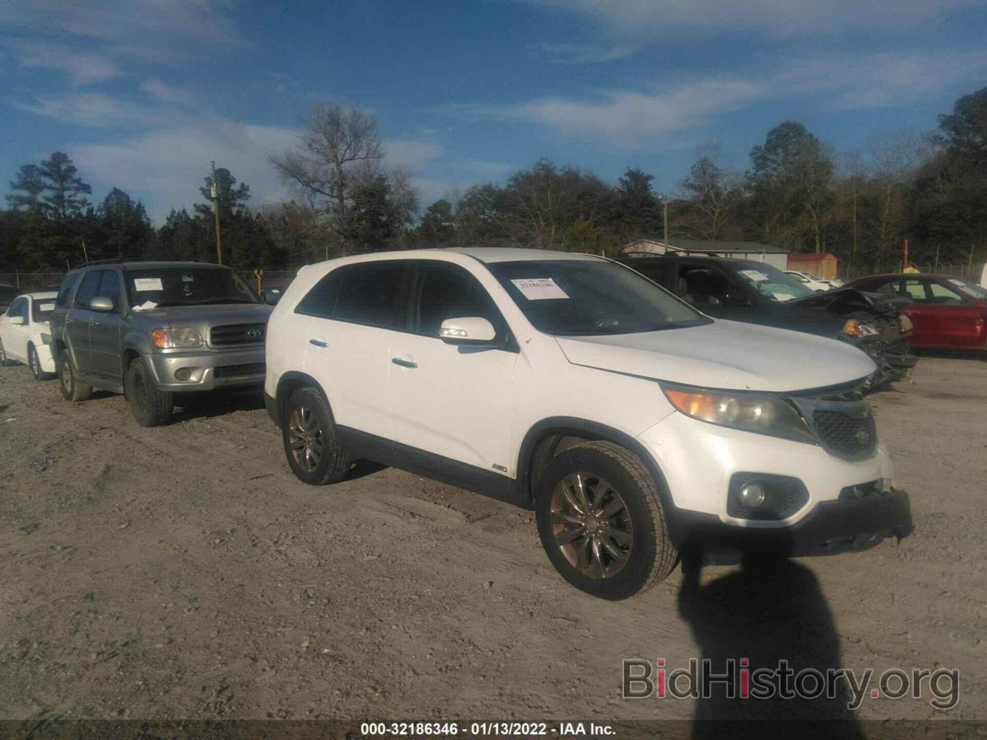 Photo 5XYKUDA28BG025715 - KIA SORENTO 2011