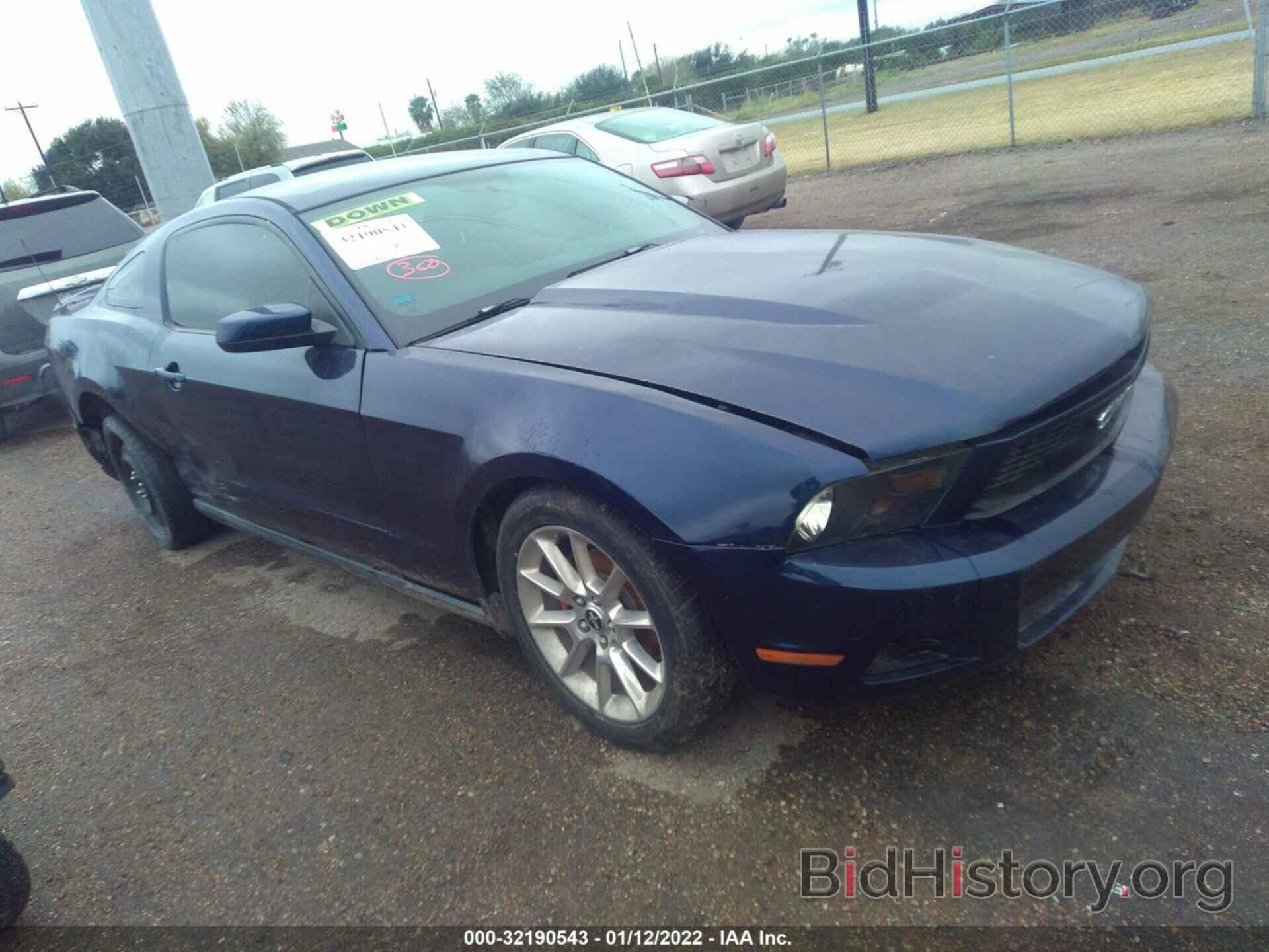 Photo 1ZVBP8AN8A5146306 - FORD MUSTANG 2010