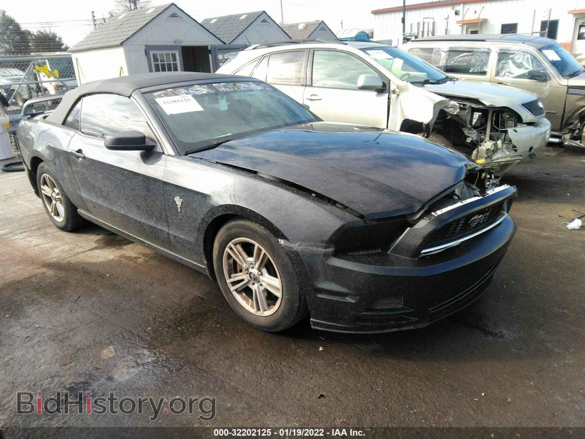 Фотография 1ZVBP8EM6D5234082 - FORD MUSTANG 2013
