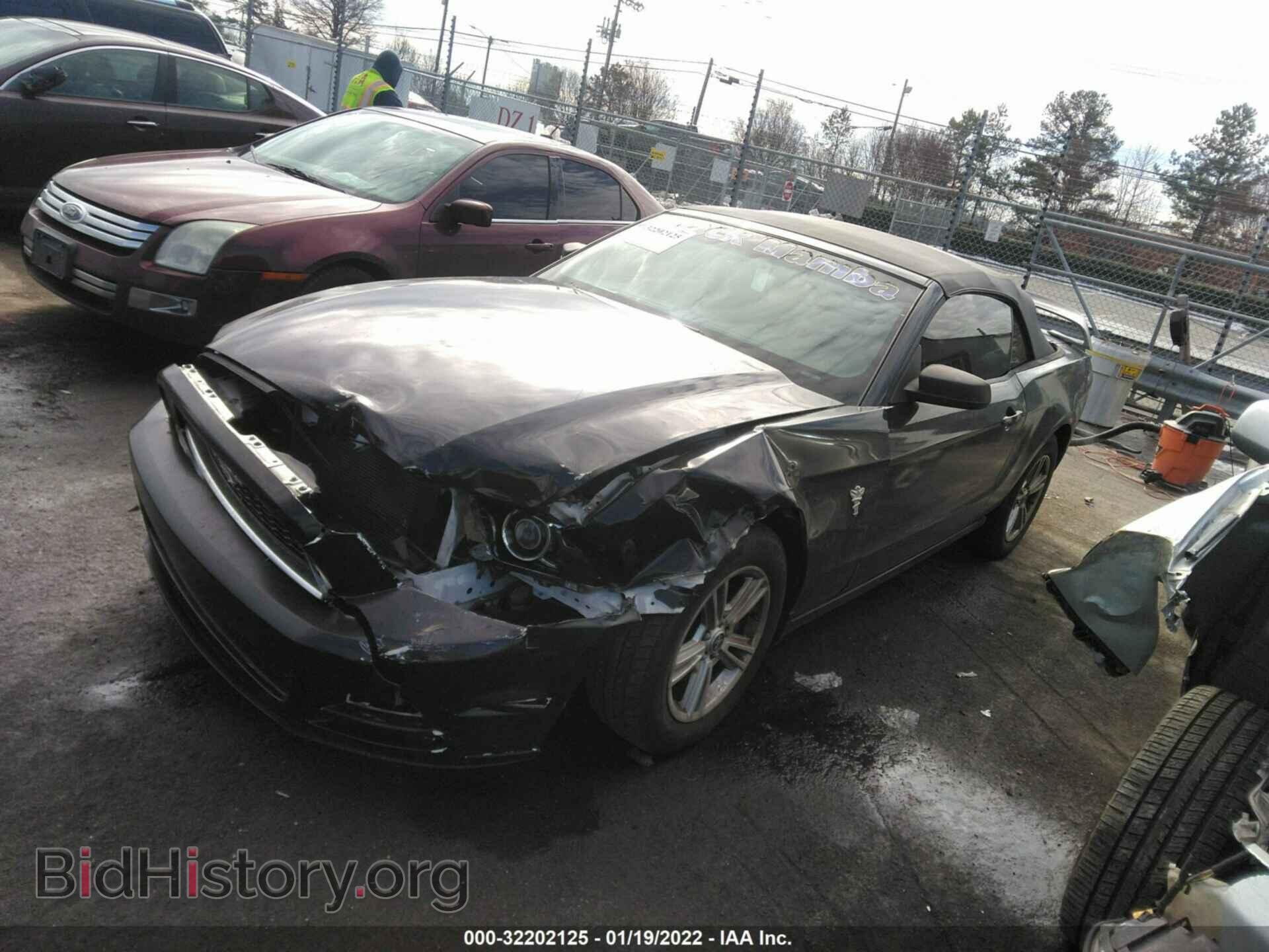 2013 FORD MUSTANG - VIN: 1ZVBP8EM6D5234082 - Фото 2