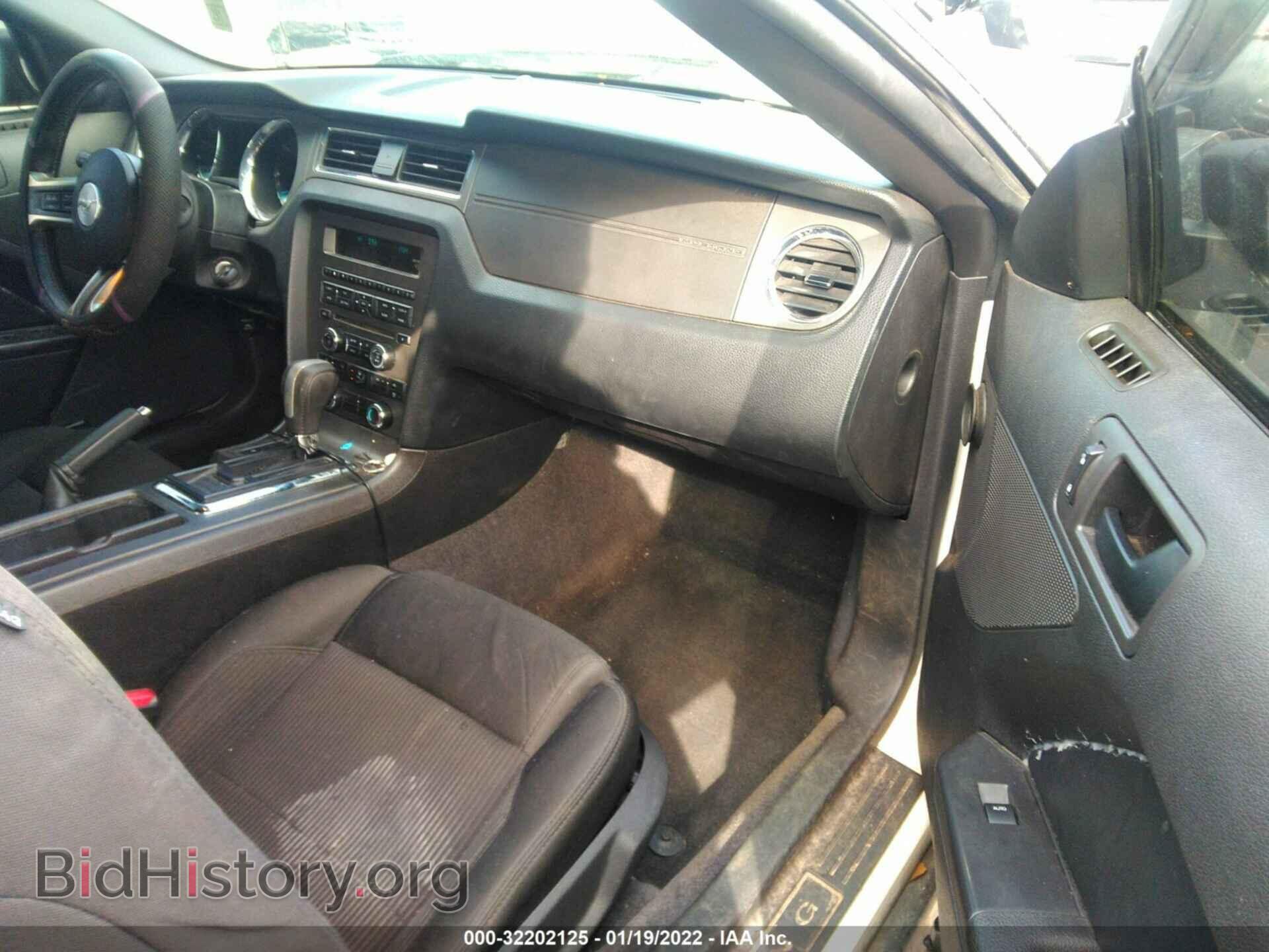 2013 FORD MUSTANG - VIN: 1ZVBP8EM6D5234082 - Фото 5