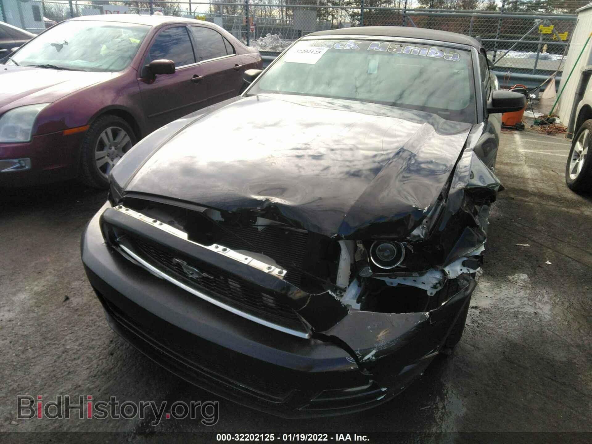 2013 FORD MUSTANG - VIN: 1ZVBP8EM6D5234082 - Фото 6