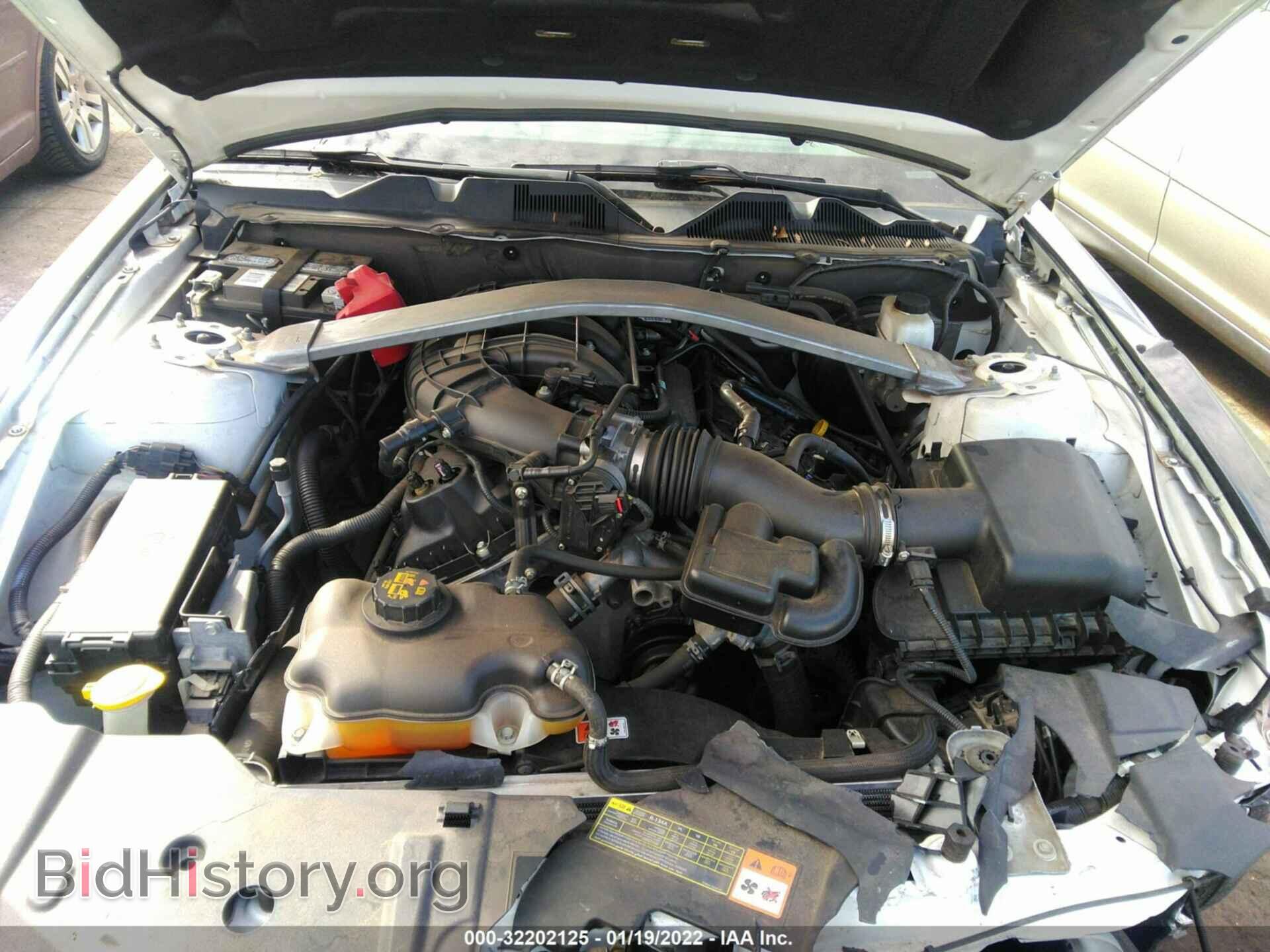 2013 FORD MUSTANG - VIN: 1ZVBP8EM6D5234082 - Фото 10