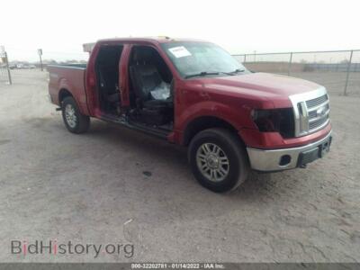 2010 Ford F-150 XL/XLT/FX4/Lariat, красный — VIN 1FTFW1EV8AFD78312, IAAI