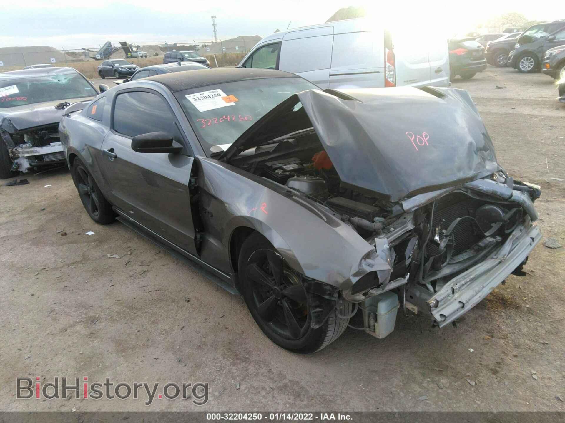 Фотография 1ZVBP8CF1E5291084 - FORD MUSTANG 2014