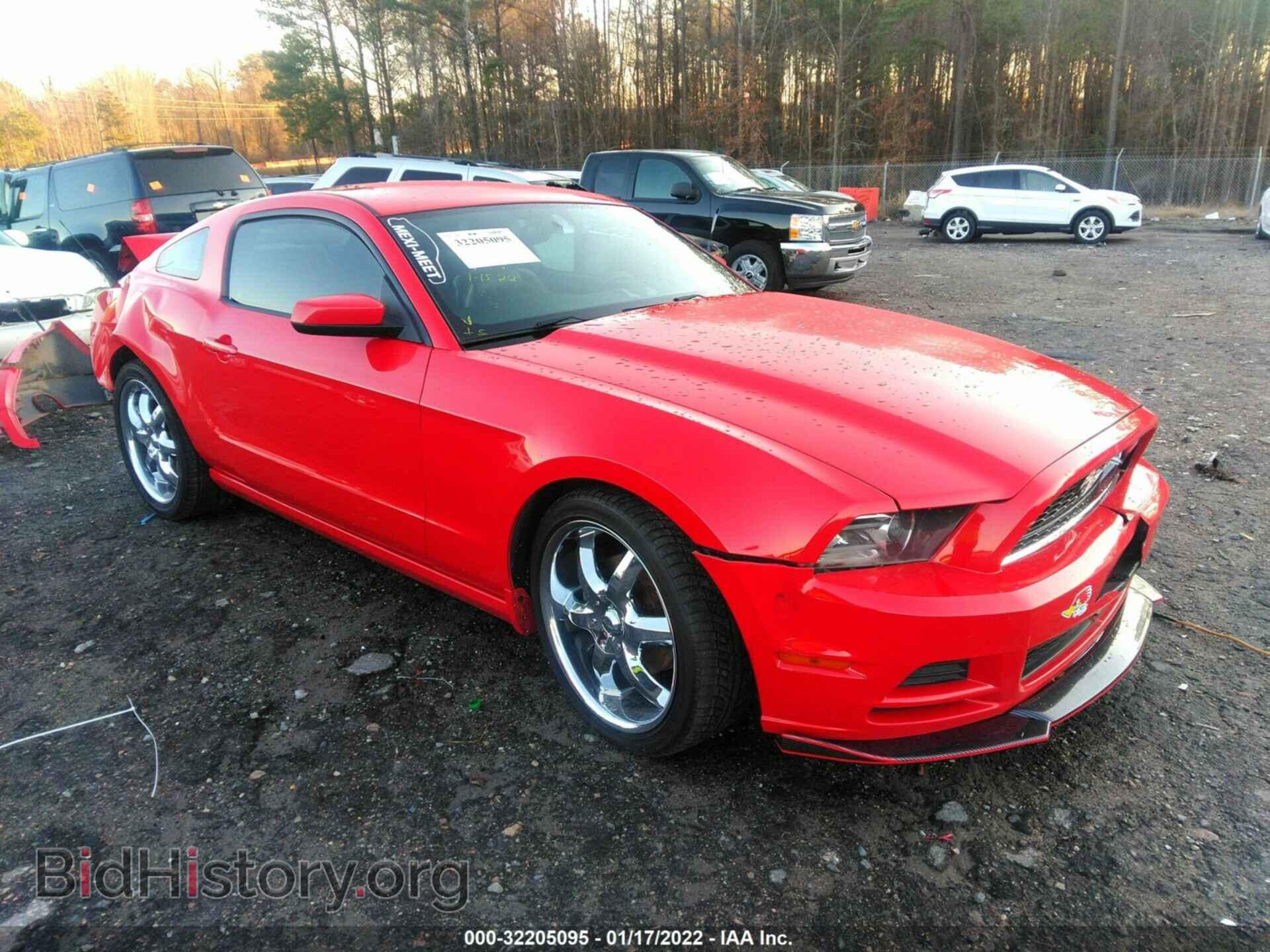 Photo 1ZVBP8AMXE5304464 - FORD MUSTANG 2014