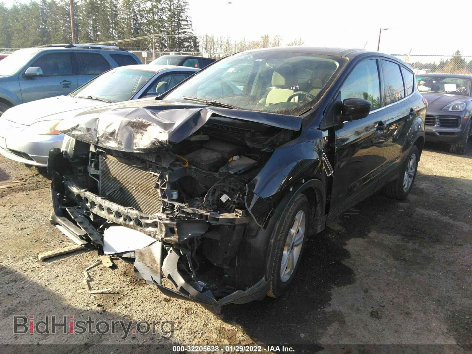 2013 FORD ESCAPE - VIN: 1FMCU9G95DUC22831 - Фото 2