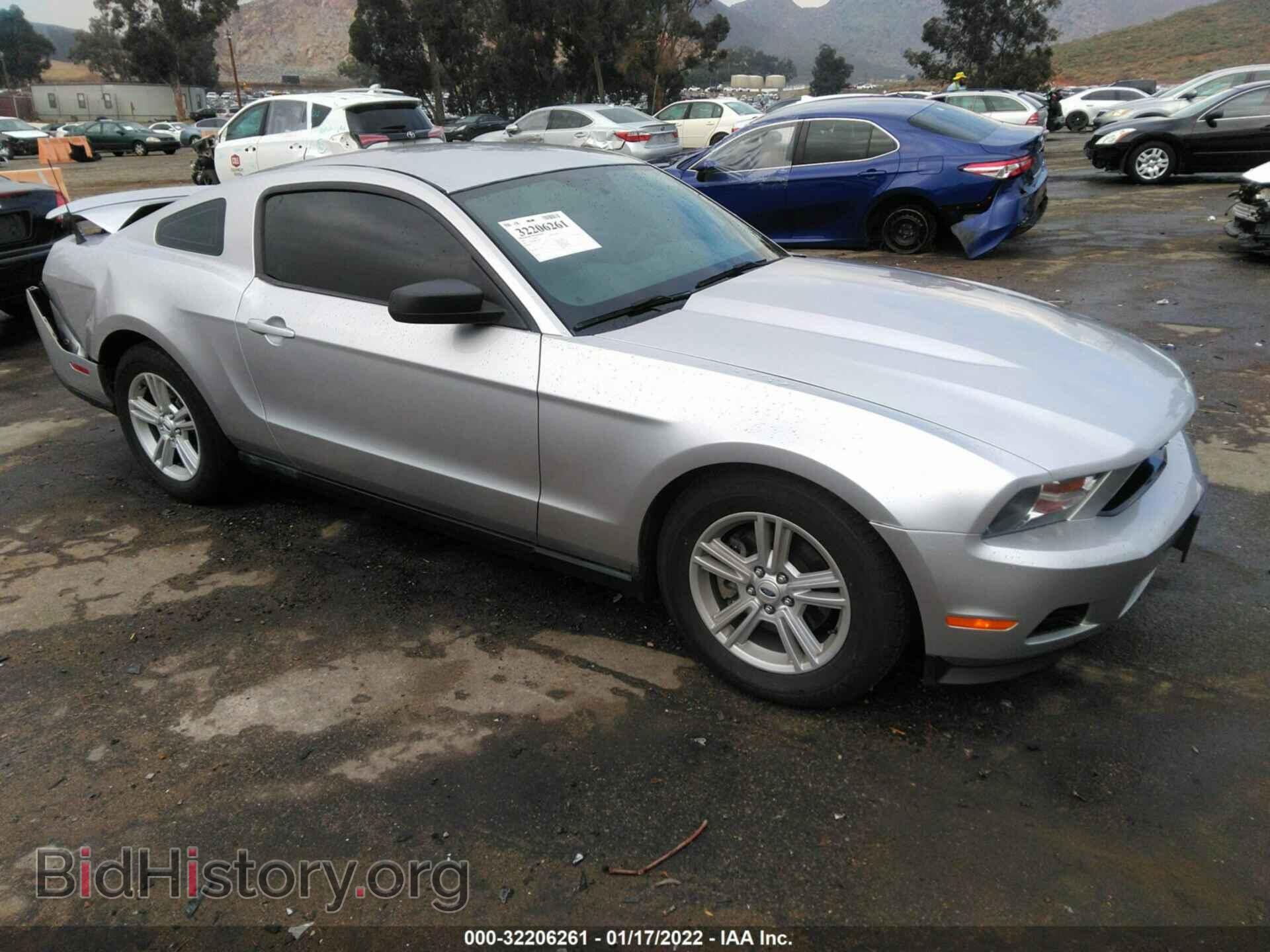 Фотография 1ZVBP8AM0C5268023 - FORD MUSTANG 2012