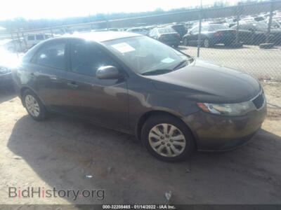 2011 Kia FORTE EX, champagne — VIN KNAFU4A20B5460266, IAAI