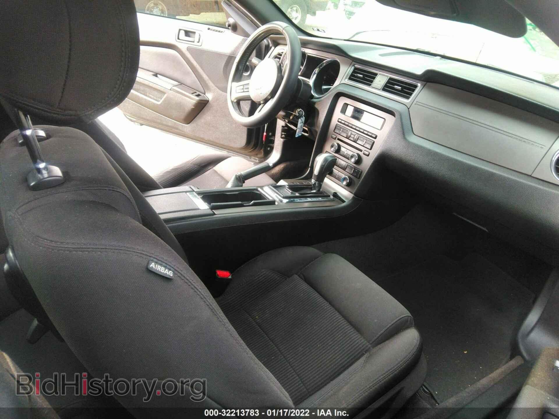 2013 FORD MUSTANG - VIN: 1ZVBP8AM1D5243634 - Фото 5