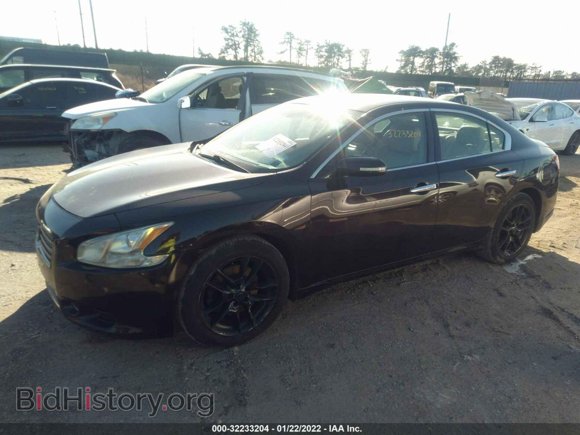 2010 NISSAN MAXIMA - VIN: 1N4AA5AP1AC807773 - Фото 2