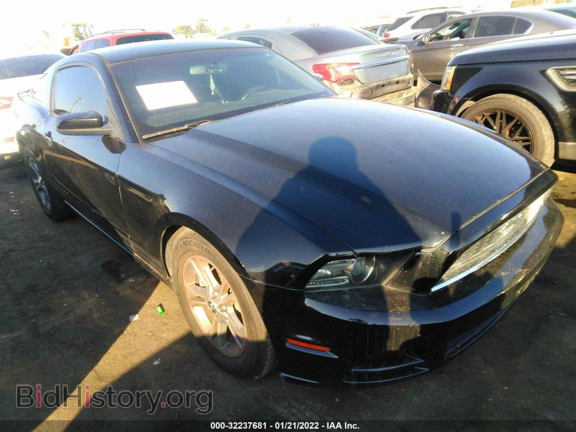 Фотография 1ZVBP8AM2E5201619 - FORD MUSTANG 2014