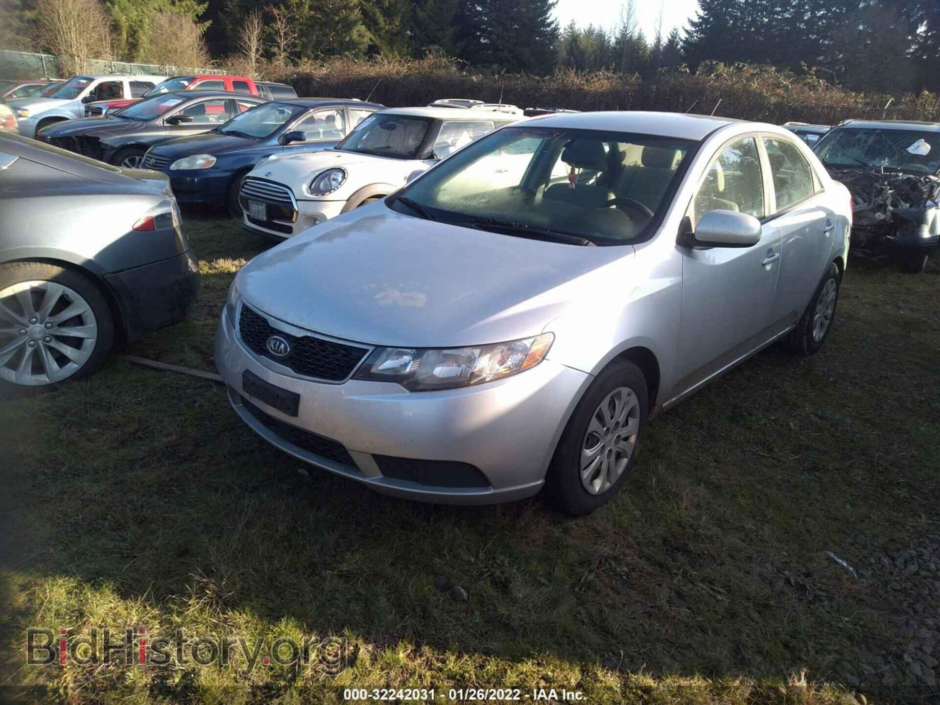 2013 KIA FORTE - VIN: KNAFT4A22D5699100 - Фото 2