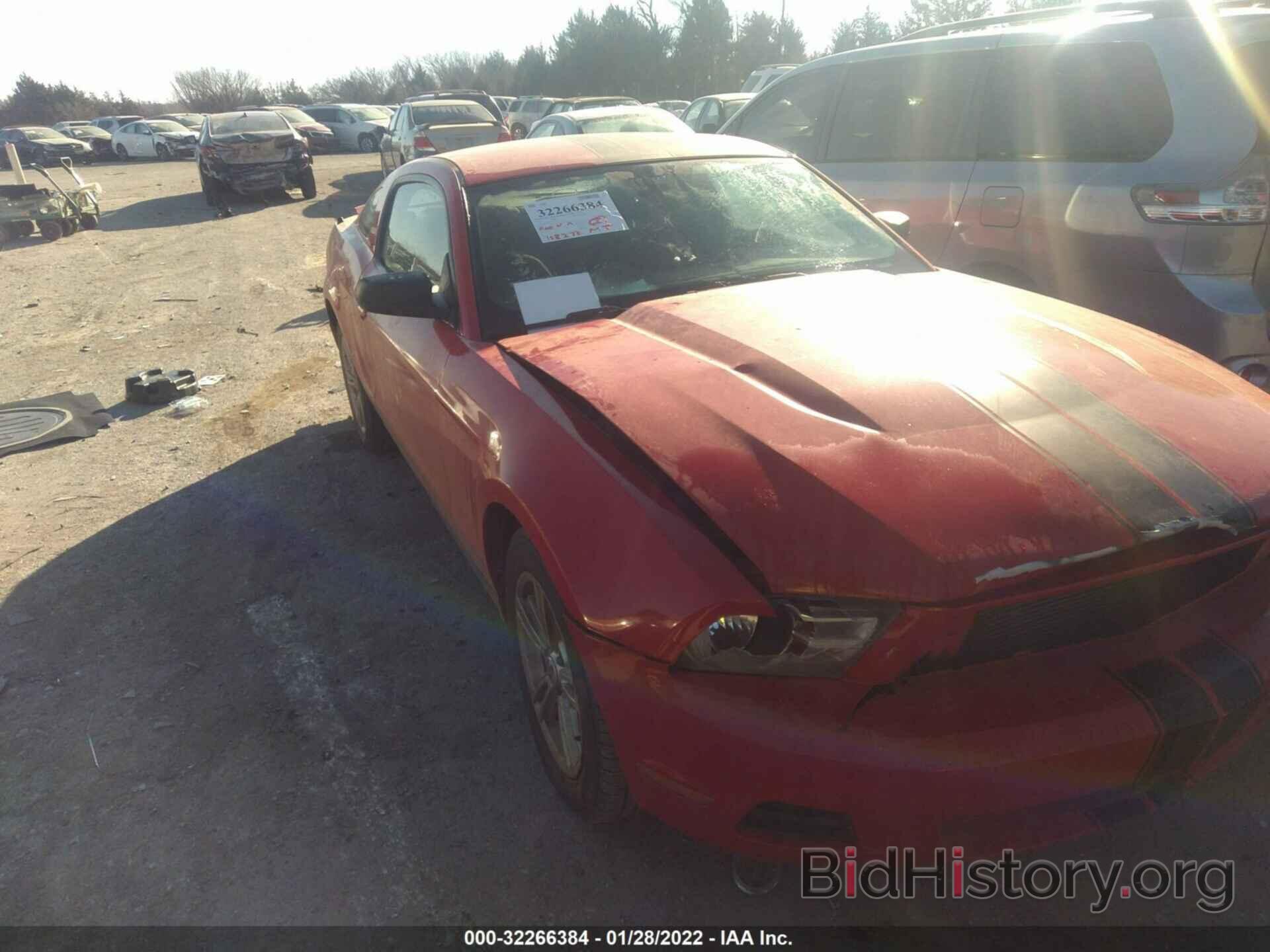 Photo 1ZVBP8AN2A5106254 - FORD MUSTANG 2010