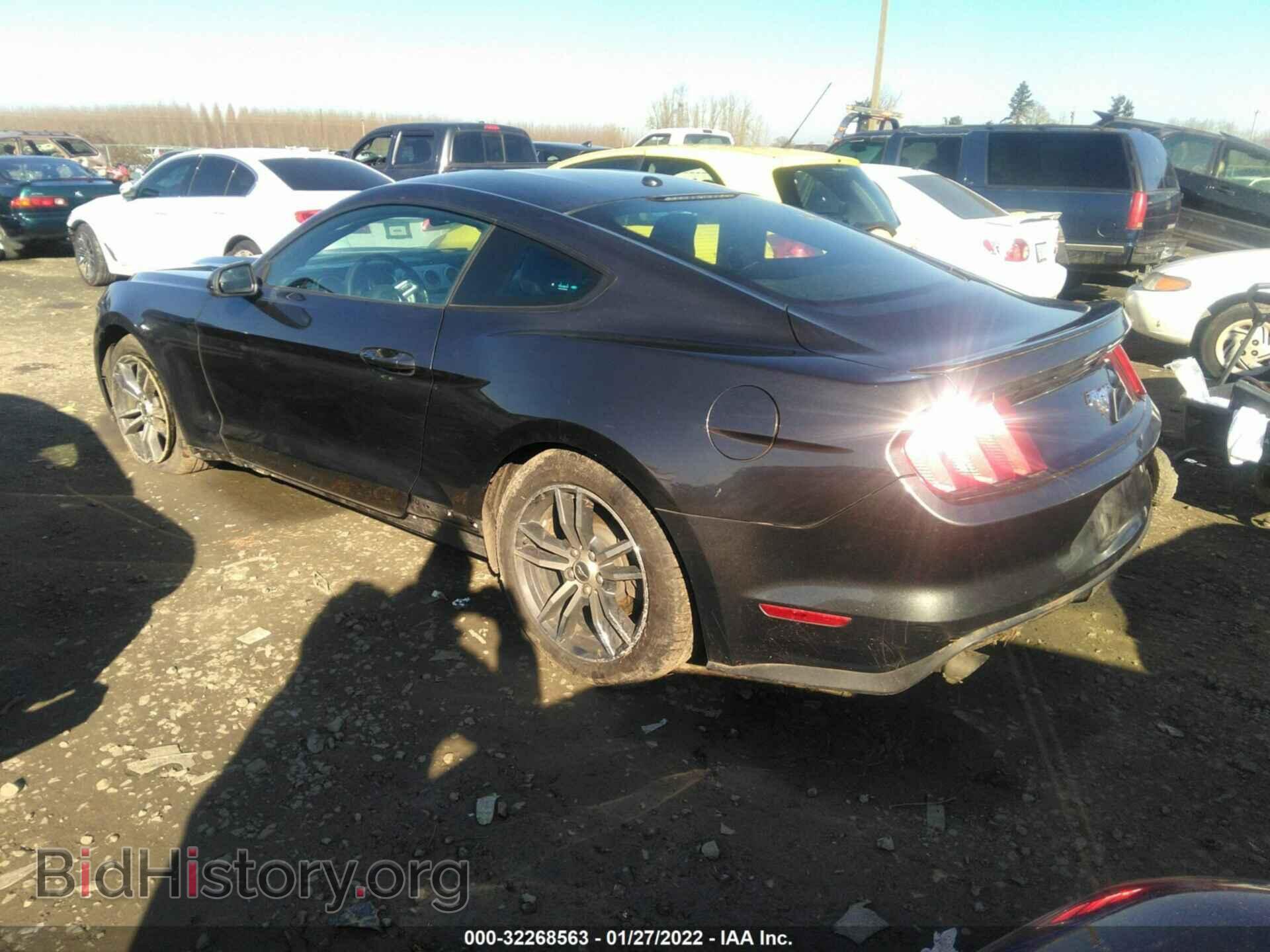 2017 FORD MUSTANG - VIN: 1FA6P8TH1H5295698 - Фото 3