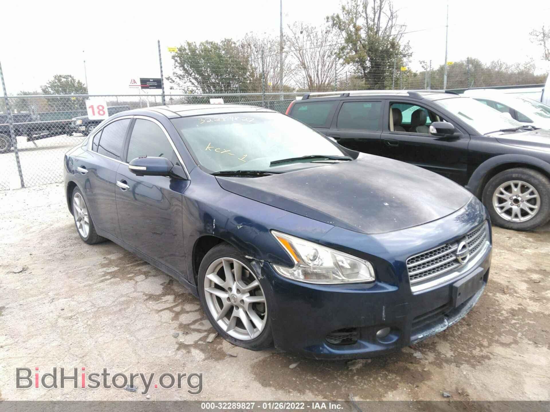 Фотография 1N4AA5AP1BC833923 - NISSAN MAXIMA 2011