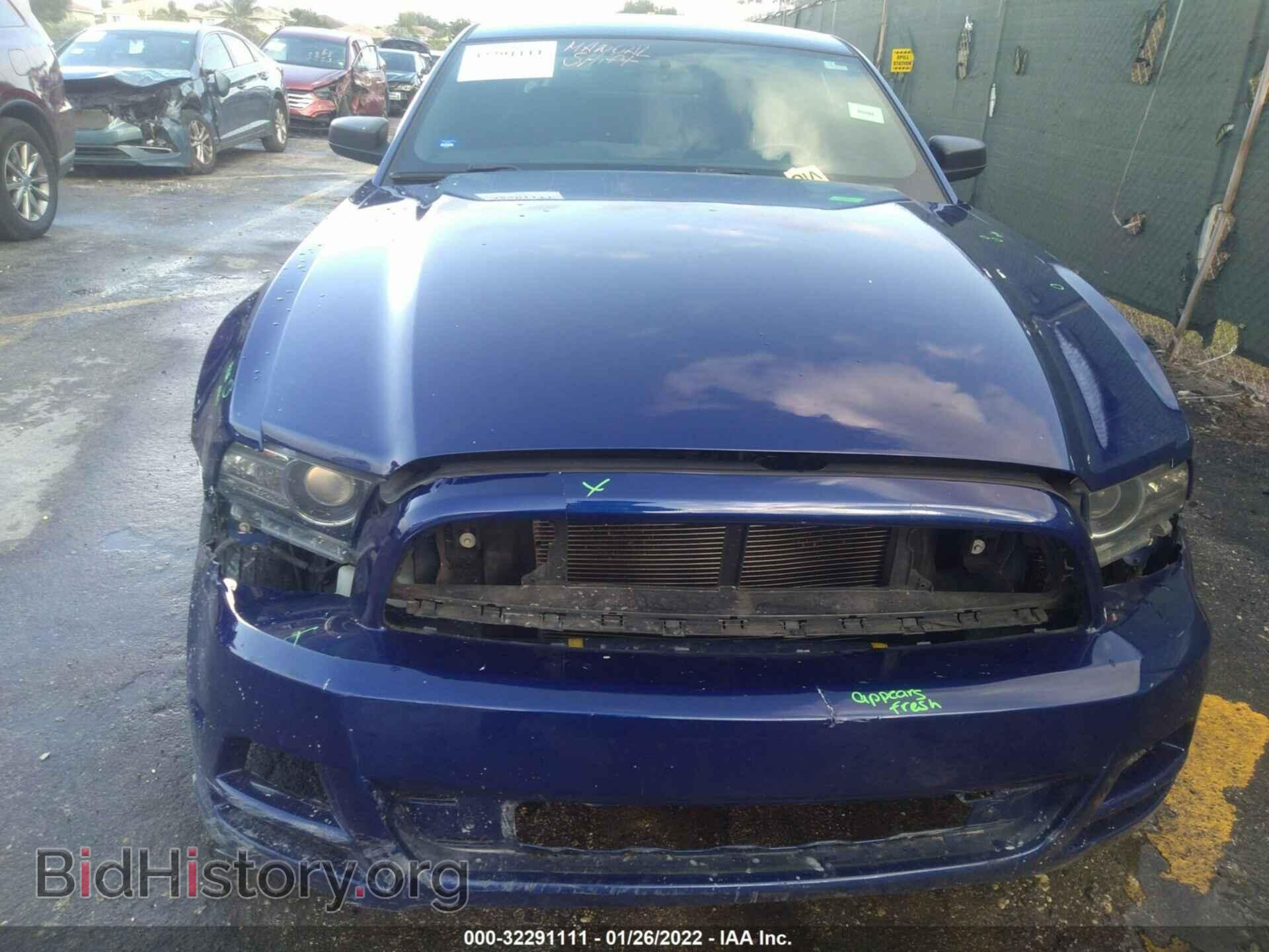 2013 FORD MUSTANG - VIN: 1ZVBP8AM3D5278613 - Фото 6