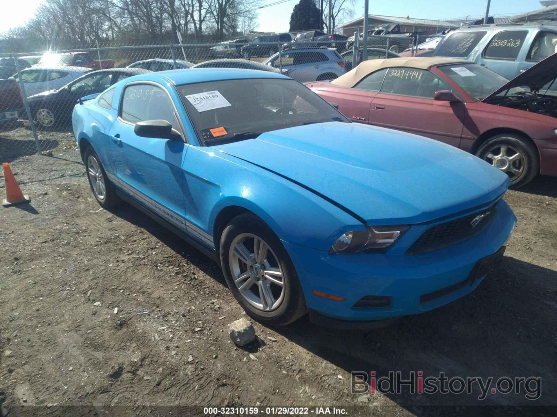 Photo 1ZVBP8AM3C5223111 - FORD MUSTANG 2012