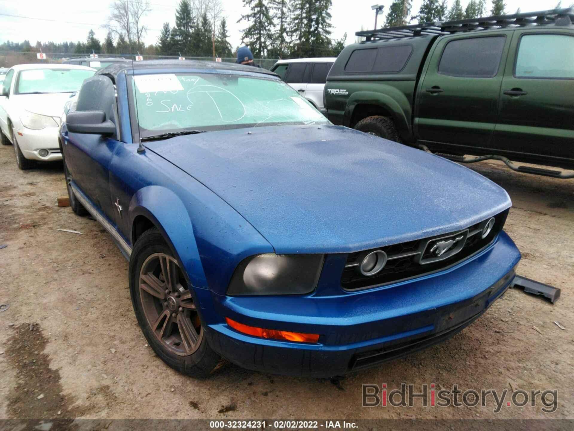 Photo 1ZVHT84NX65114482 - FORD MUSTANG 2006