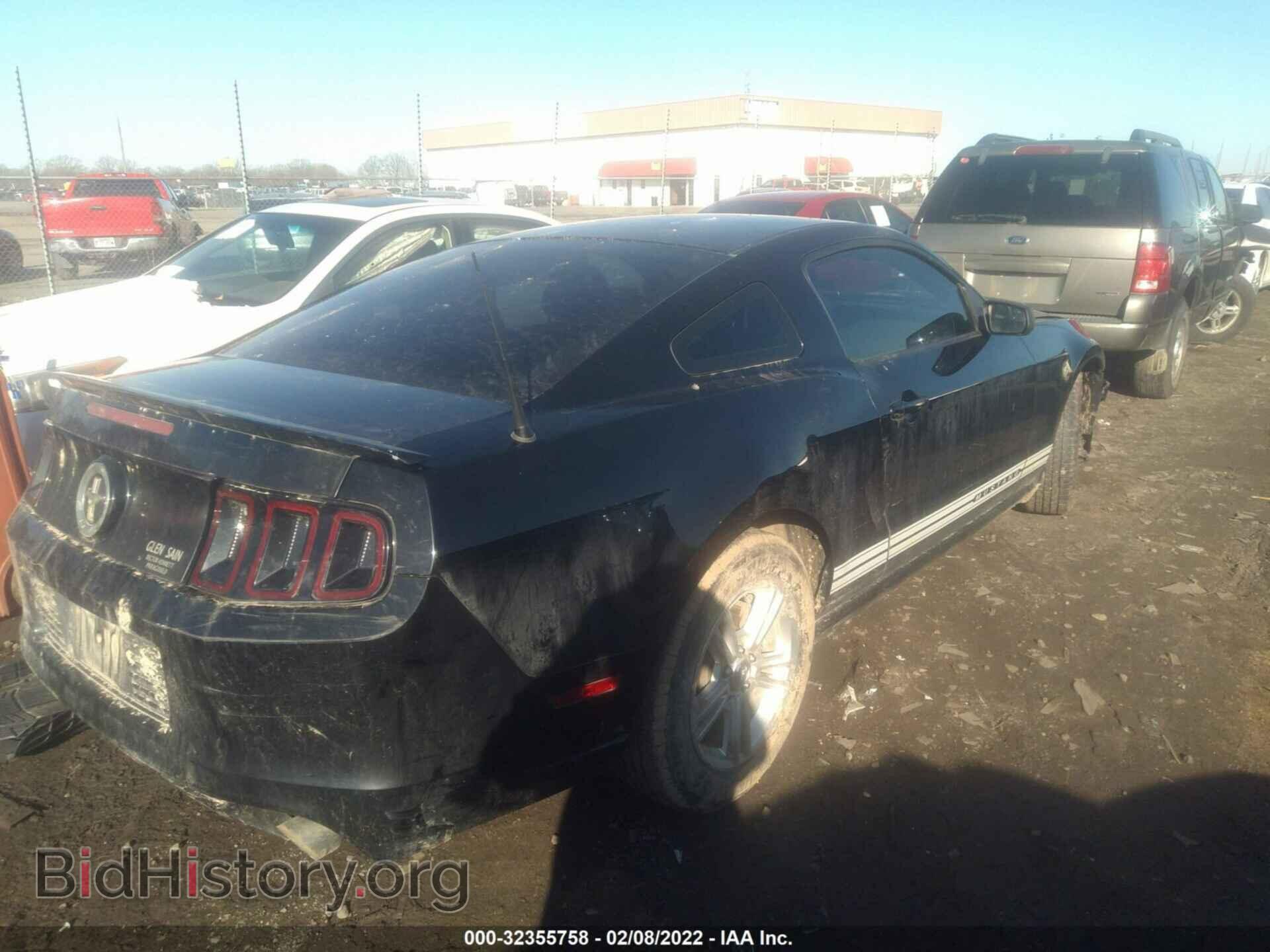 2013 FORD MUSTANG - VIN: 1ZVBP8AM2D5240547 - Фото 4