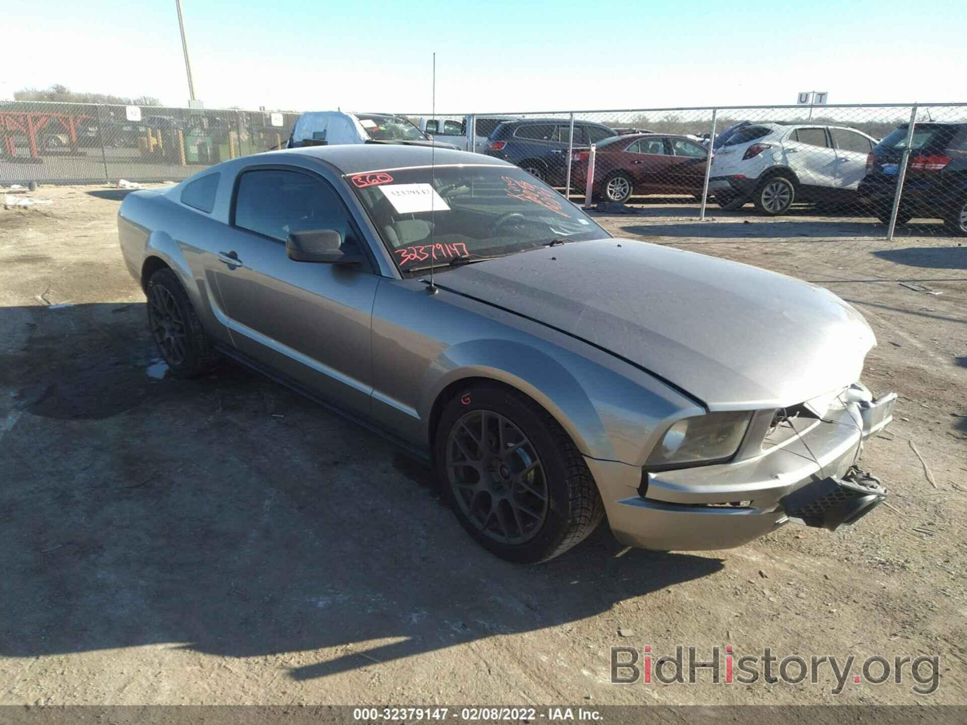Photo 1ZVHT80N985141231 - FORD MUSTANG 2008