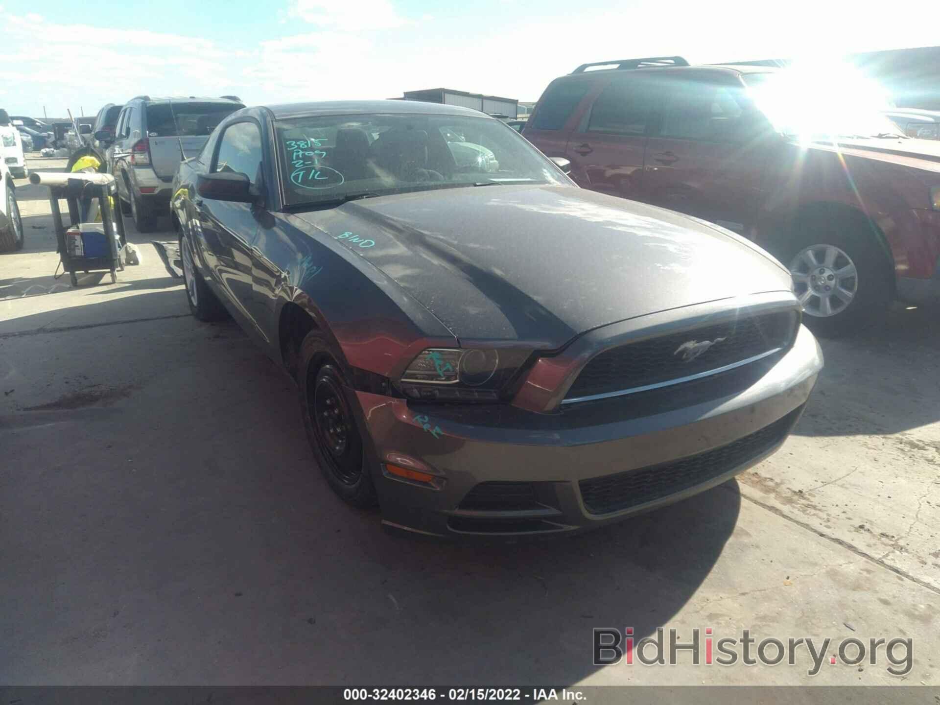 Photo 1ZVBP8AM7E5332769 - FORD MUSTANG 2014
