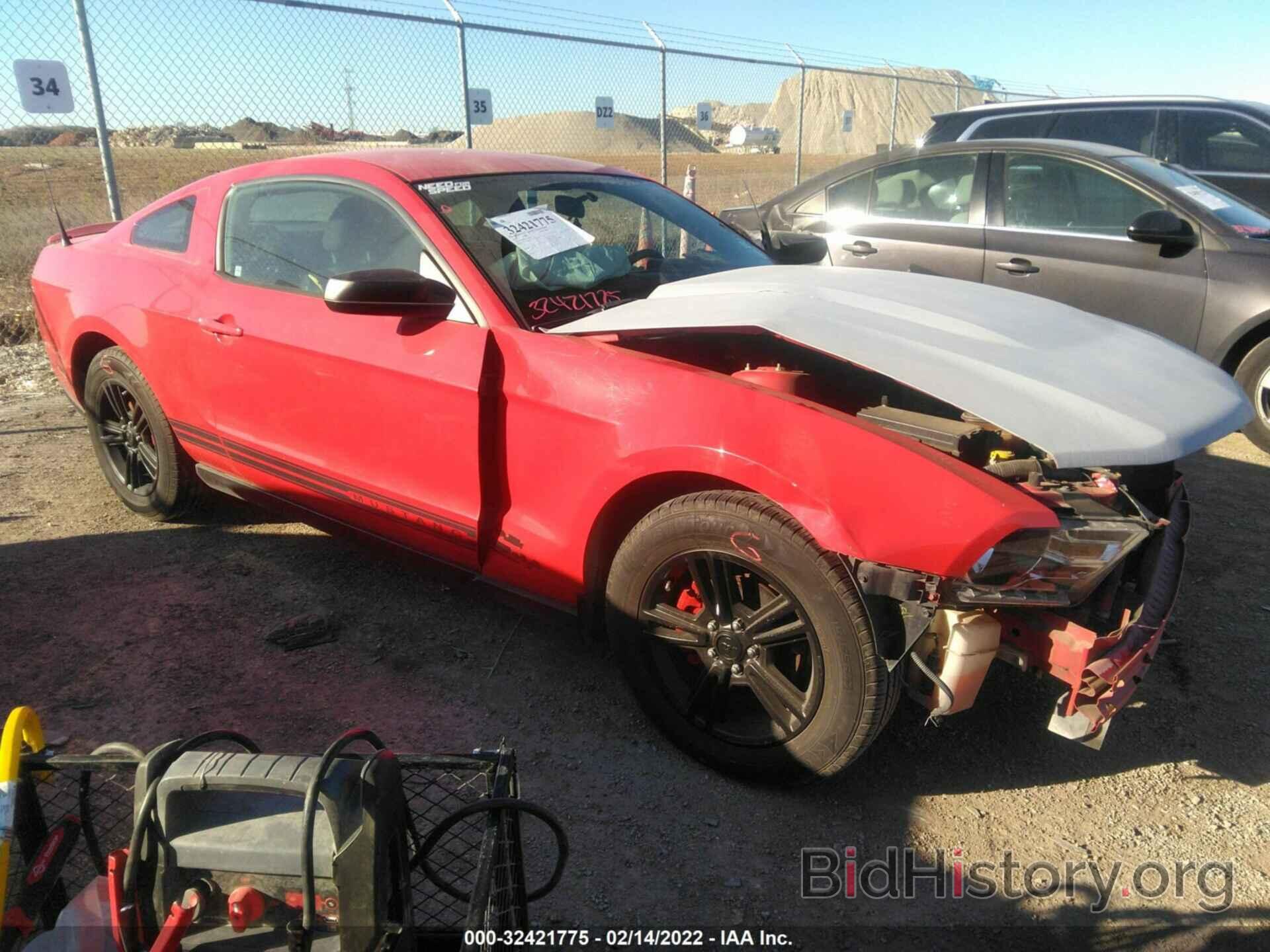 Photo 1ZVBP8AN3A5176071 - FORD MUSTANG 2010