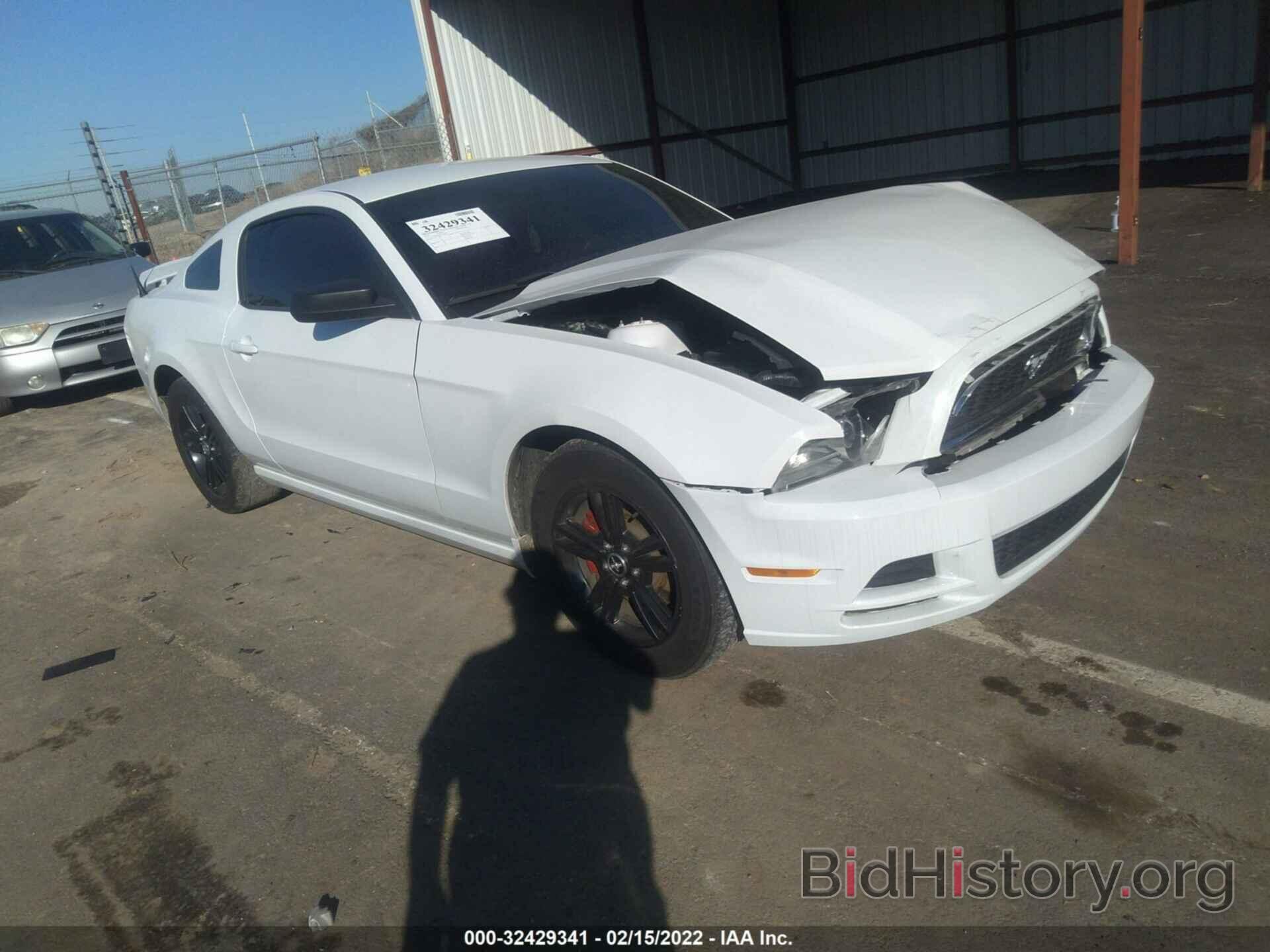 Photo 1ZVBP8AM0E5299758 - FORD MUSTANG 2014