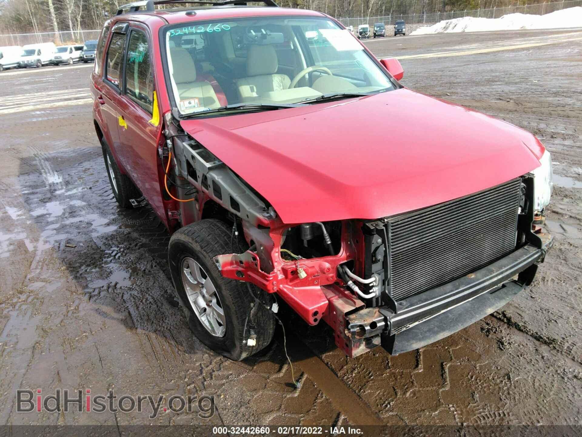 2010 FORD ESCAPE - VIN: 1FMCU9E77AKC15971 - Фото 6