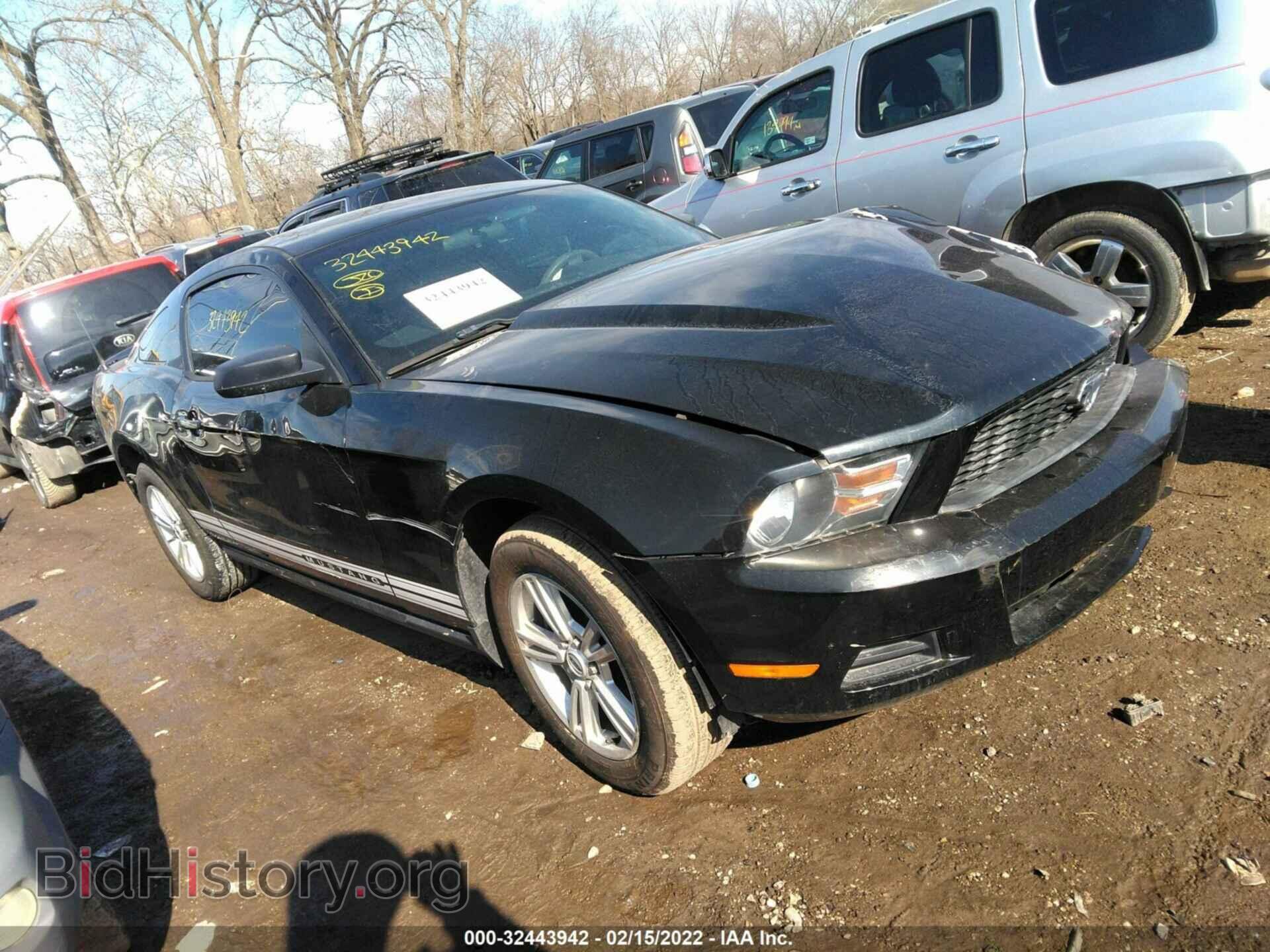 Фотография 1ZVBP8AM4C5247059 - FORD MUSTANG 2012