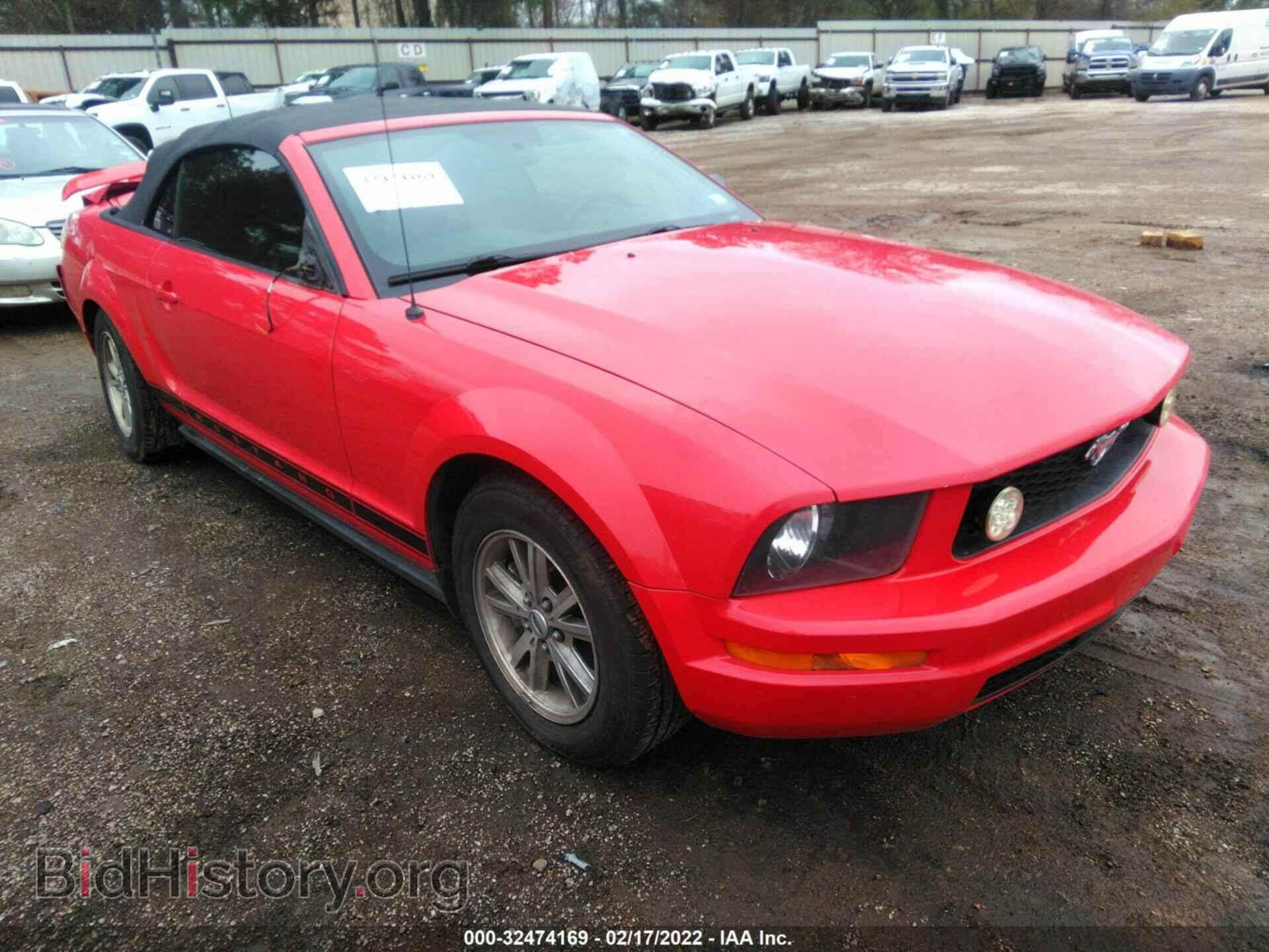 Photo 1ZVFT84N765156471 - FORD MUSTANG 2006