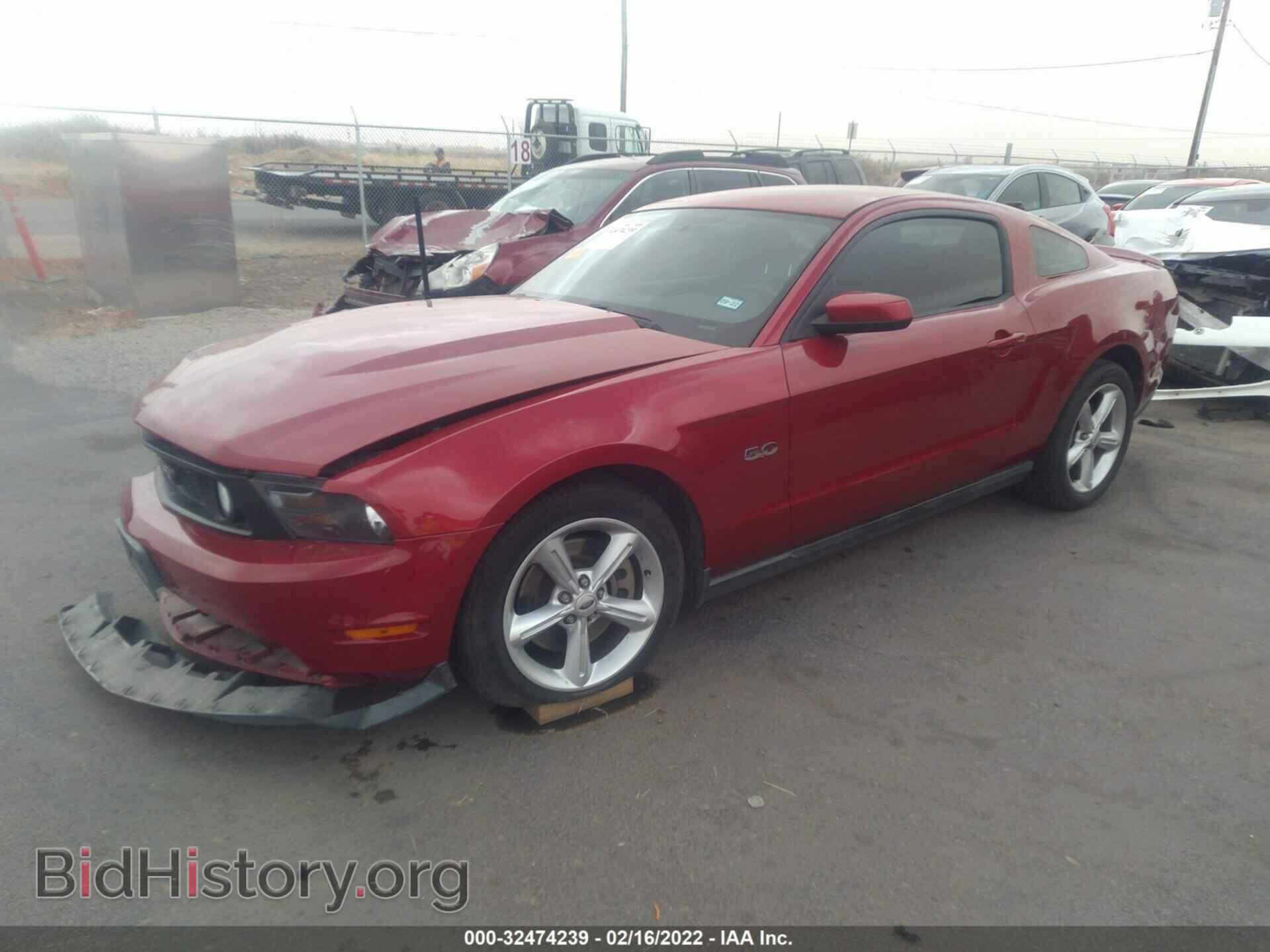 2011 FORD MUSTANG - VIN: 1ZVBP8CF7B5128905 - Фото 2