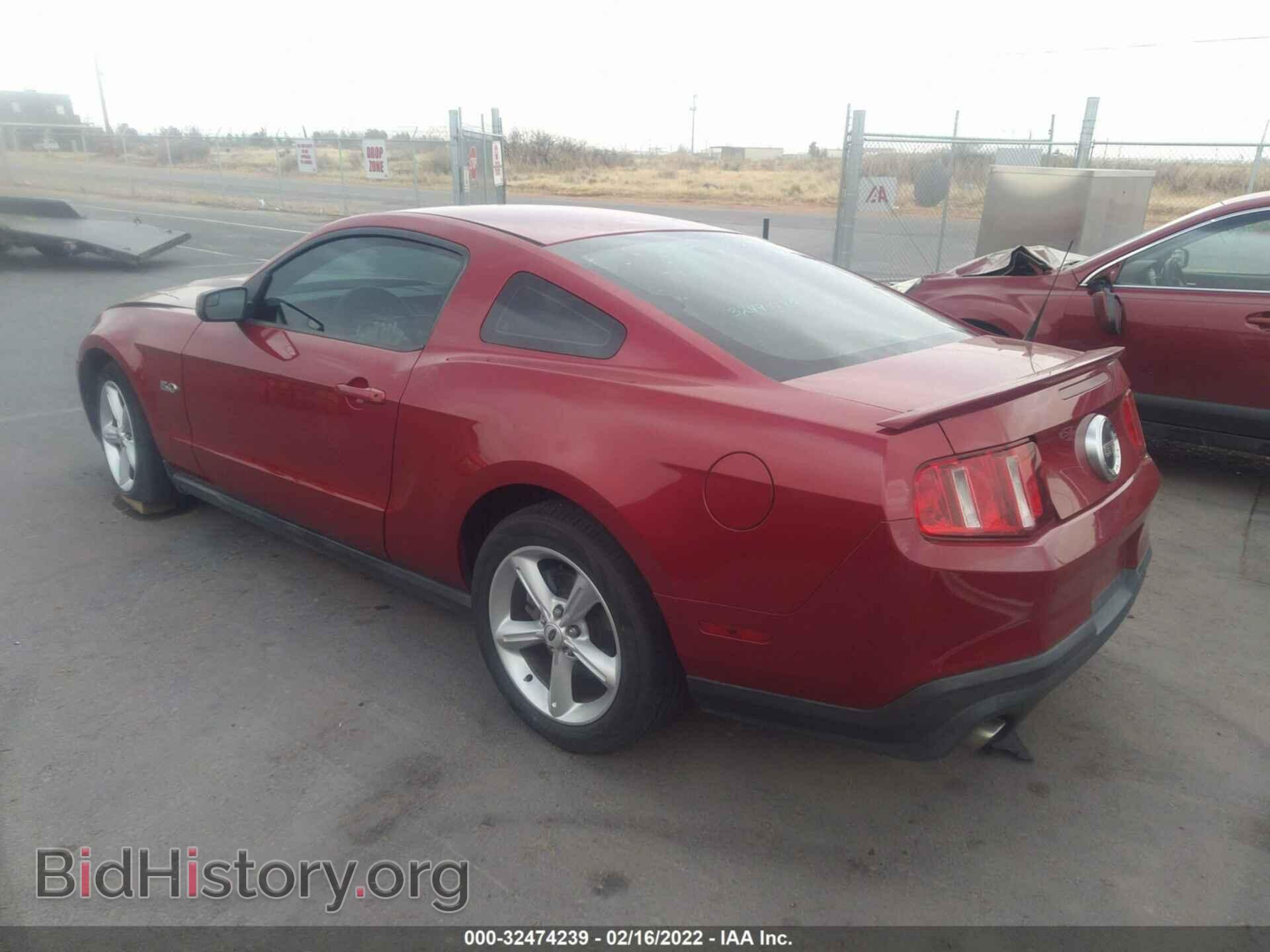 2011 FORD MUSTANG - VIN: 1ZVBP8CF7B5128905 - Фото 3